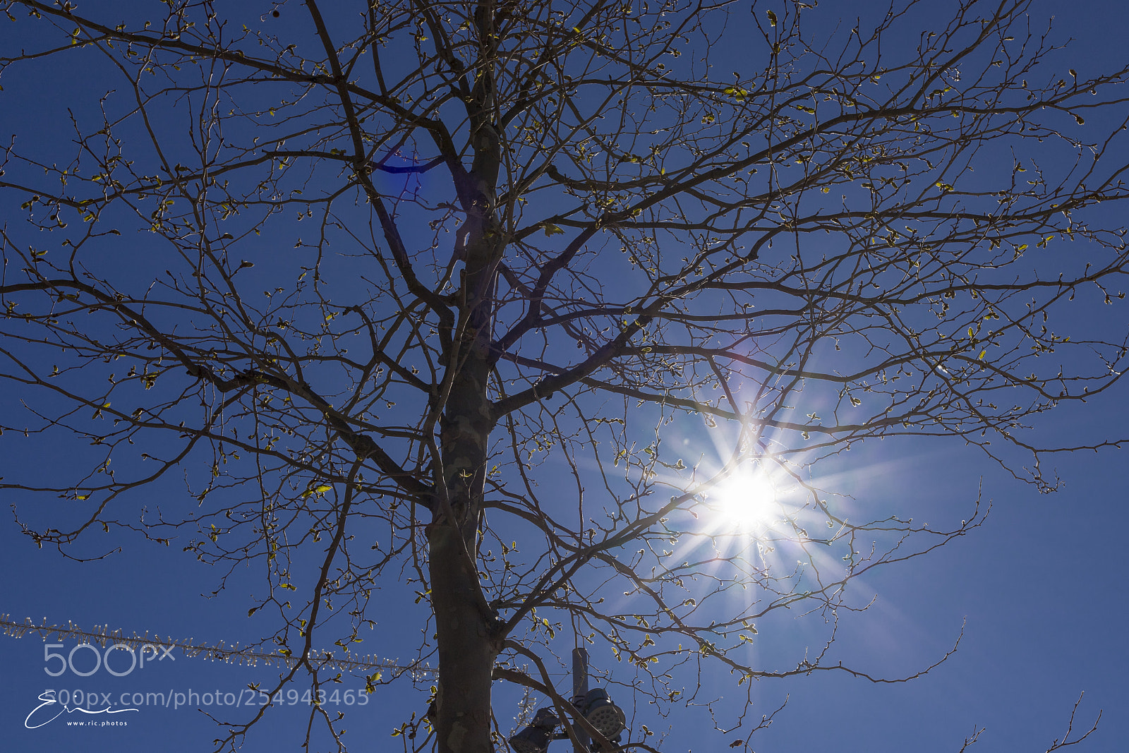 Canon EOS 6D Mark II sample photo. 2018-04-01 photography
