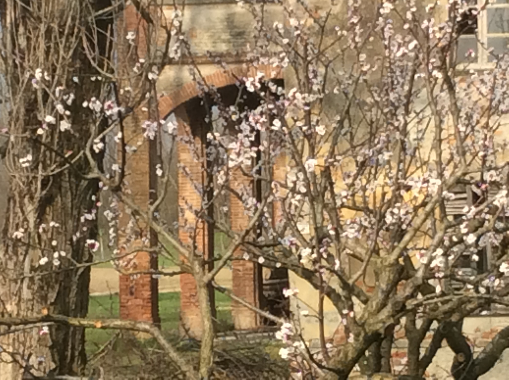 Apple iPad mini 2 sample photo. Early spring photography