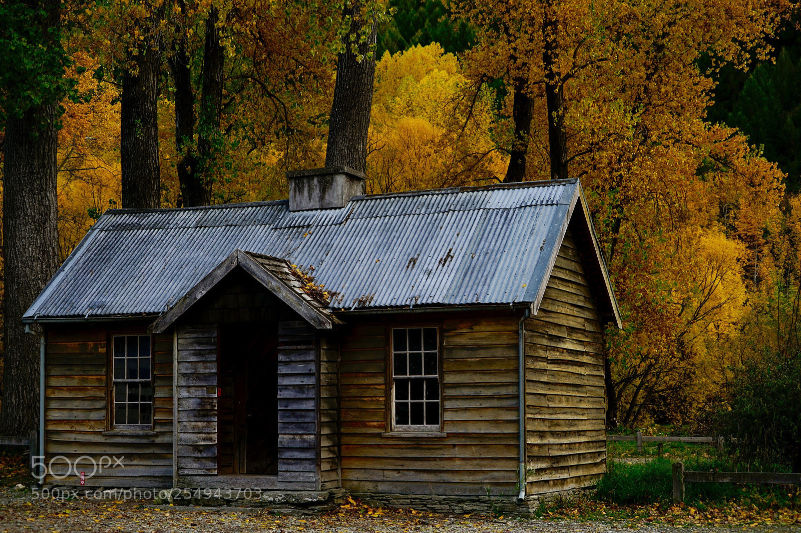 Sony a7 II sample photo. Untitled photography