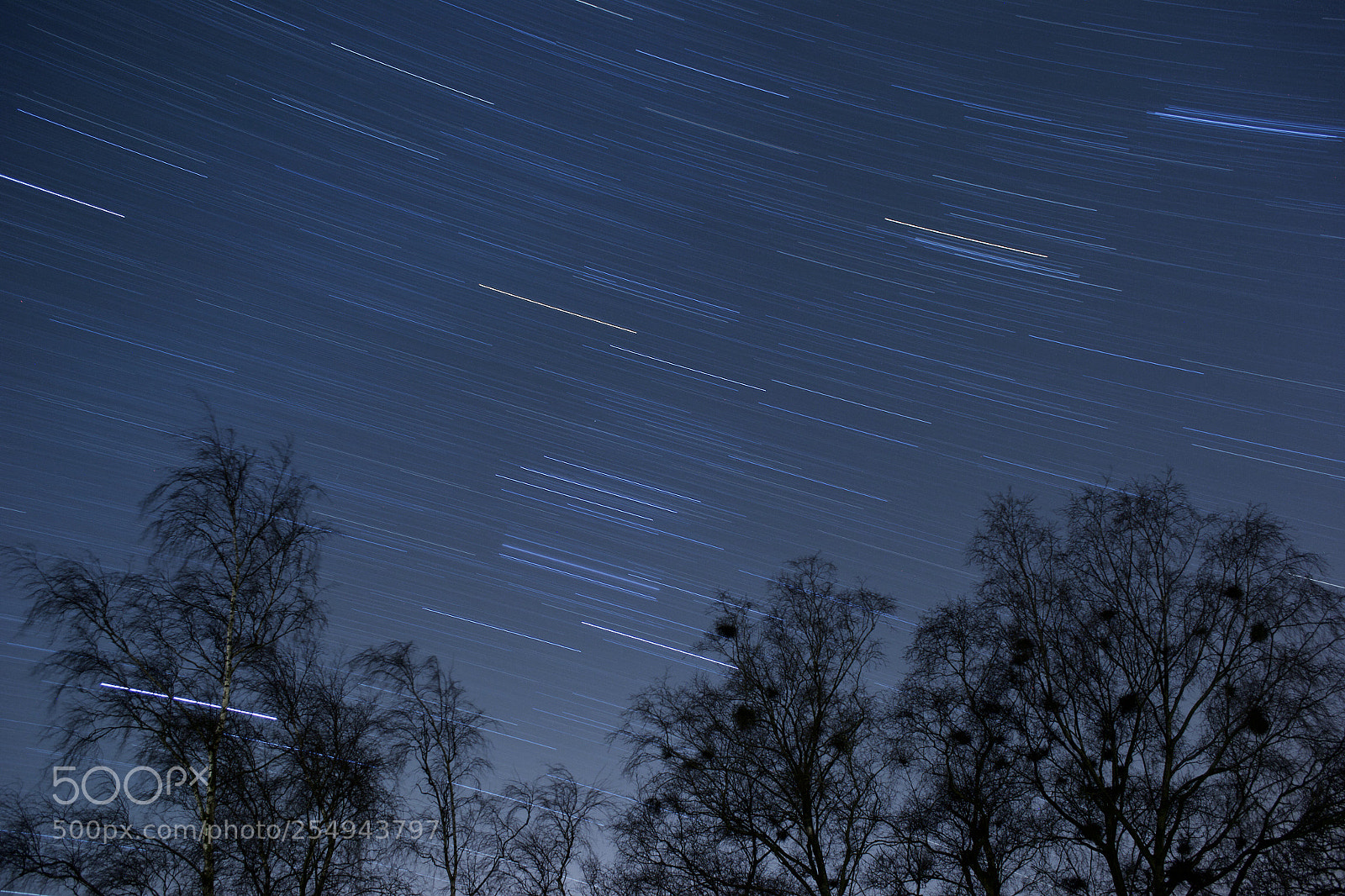 Nikon D3100 sample photo. Shooting photography