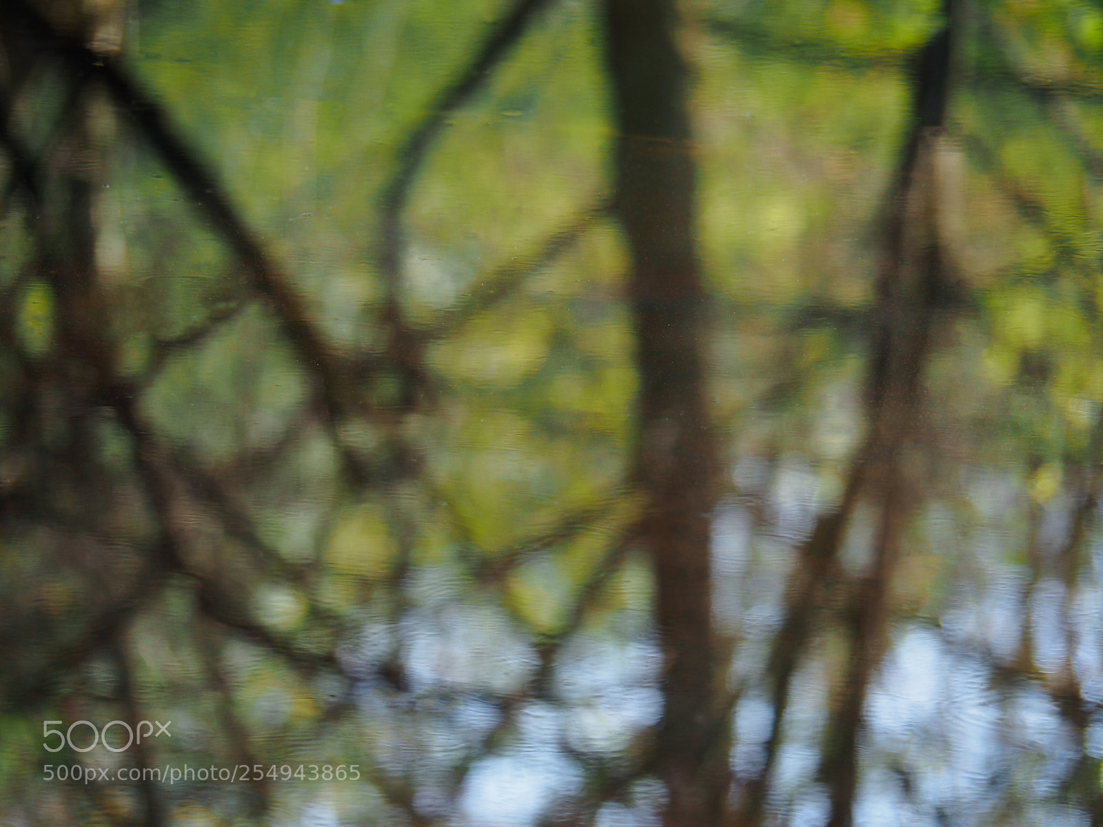 Olympus OM-D E-M10 II sample photo. Nature abstract photography