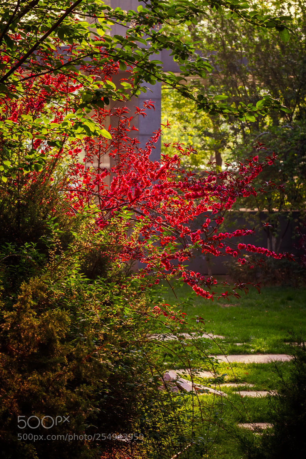 Canon EOS 70D sample photo. Light and shadow photography