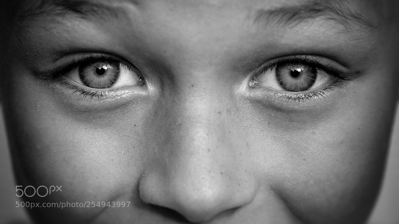 Nikon D850 sample photo. I see you too ! photography