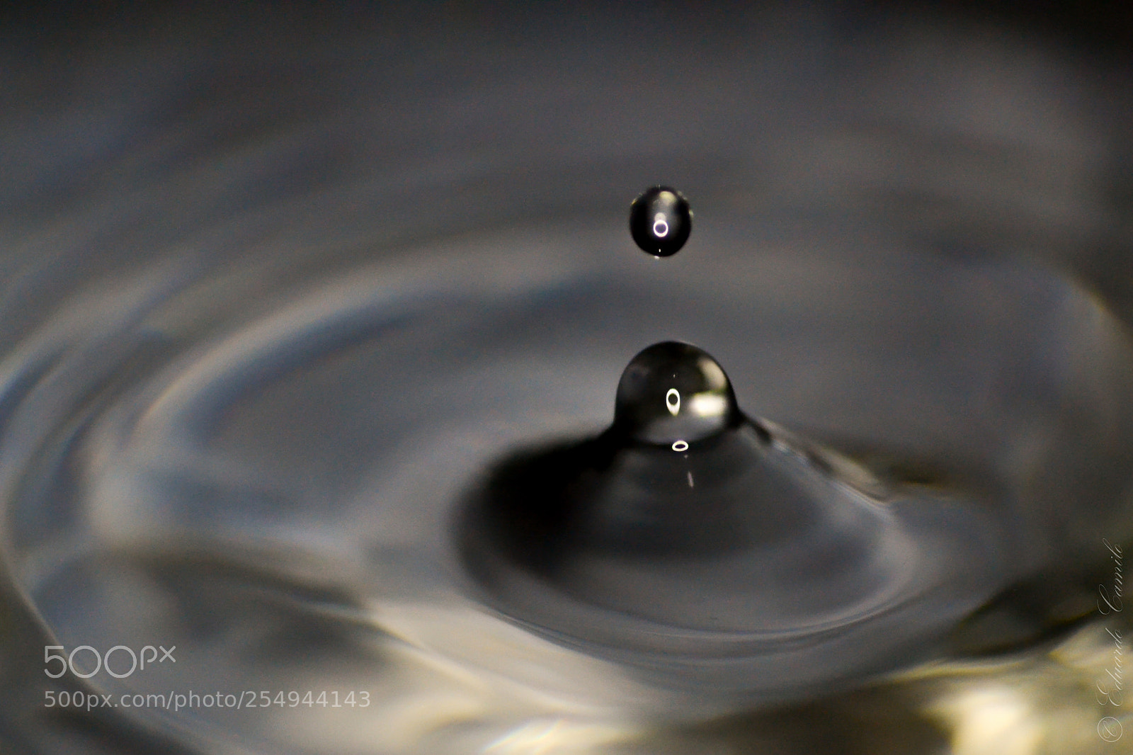 Nikon D3100 sample photo. Ec photography