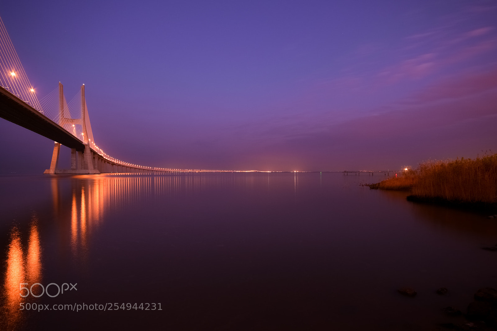 Nikon D810 sample photo. Night bridge photography