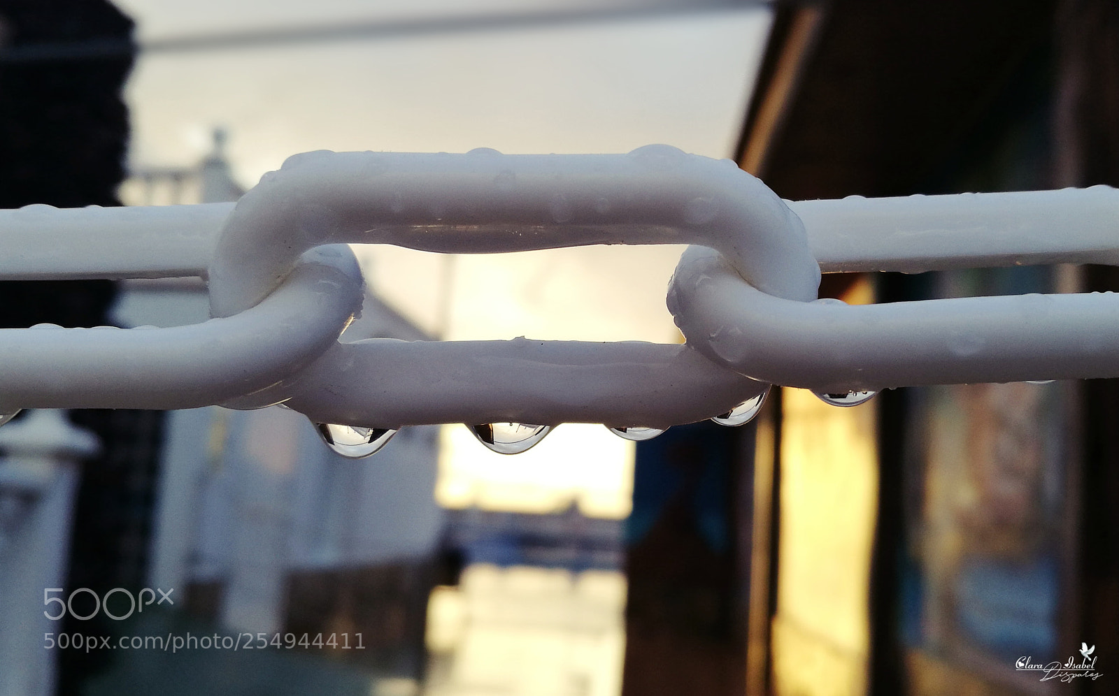 HUAWEI P9 Plus sample photo. Gotas de lluvia. photography