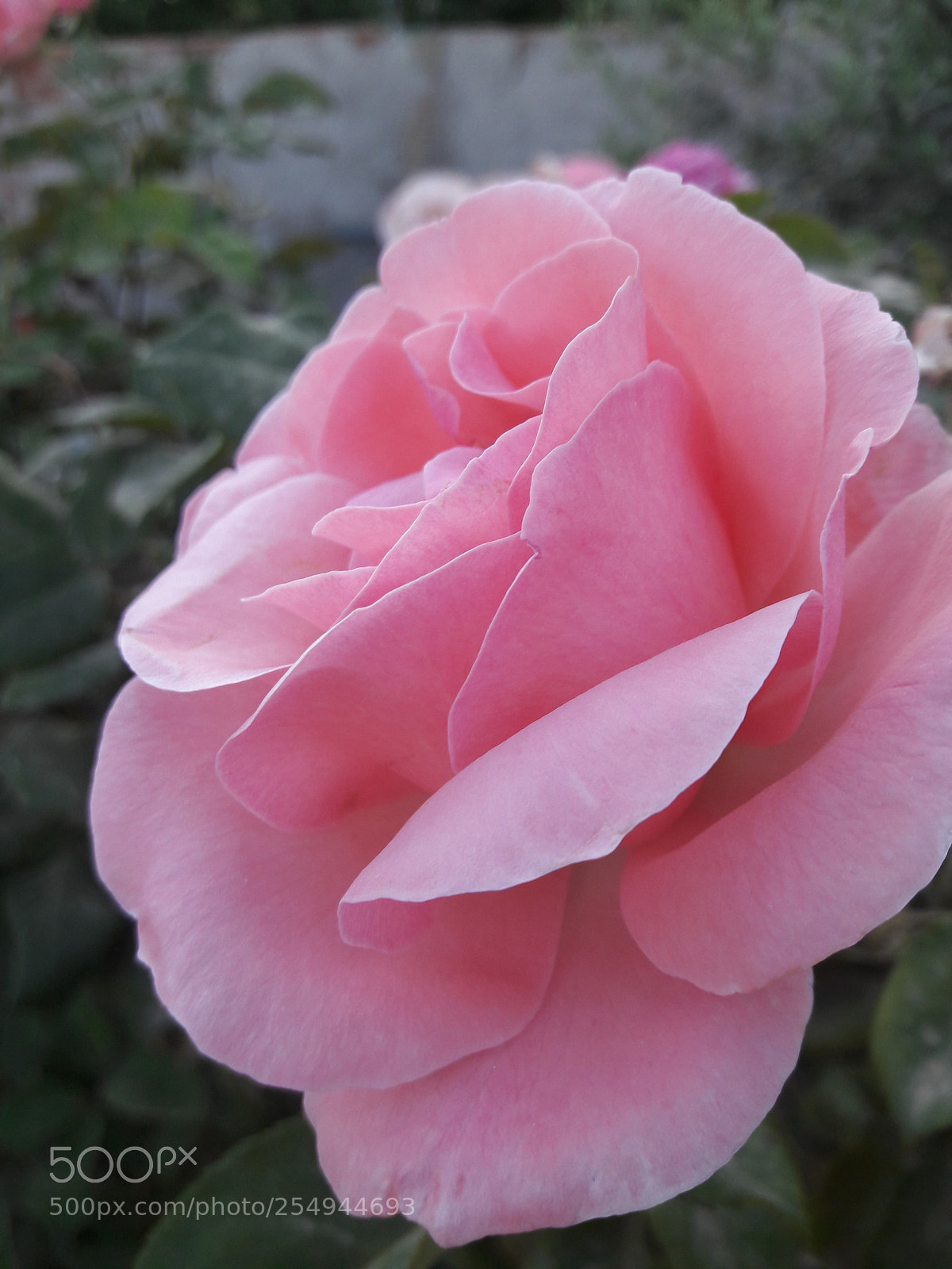 Samsung Galaxy J7 sample photo. 20180423_172058.jpg photography