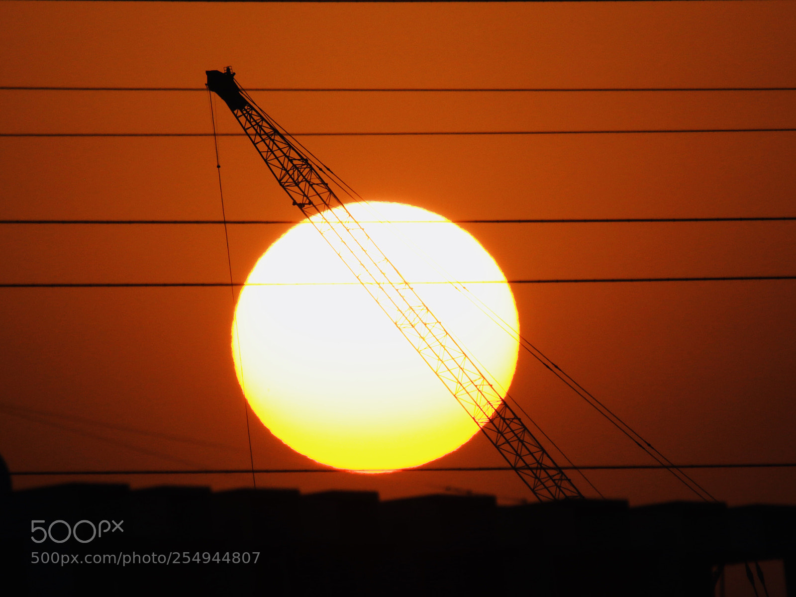 Canon EOS 7D Mark II sample photo. Untitled photography