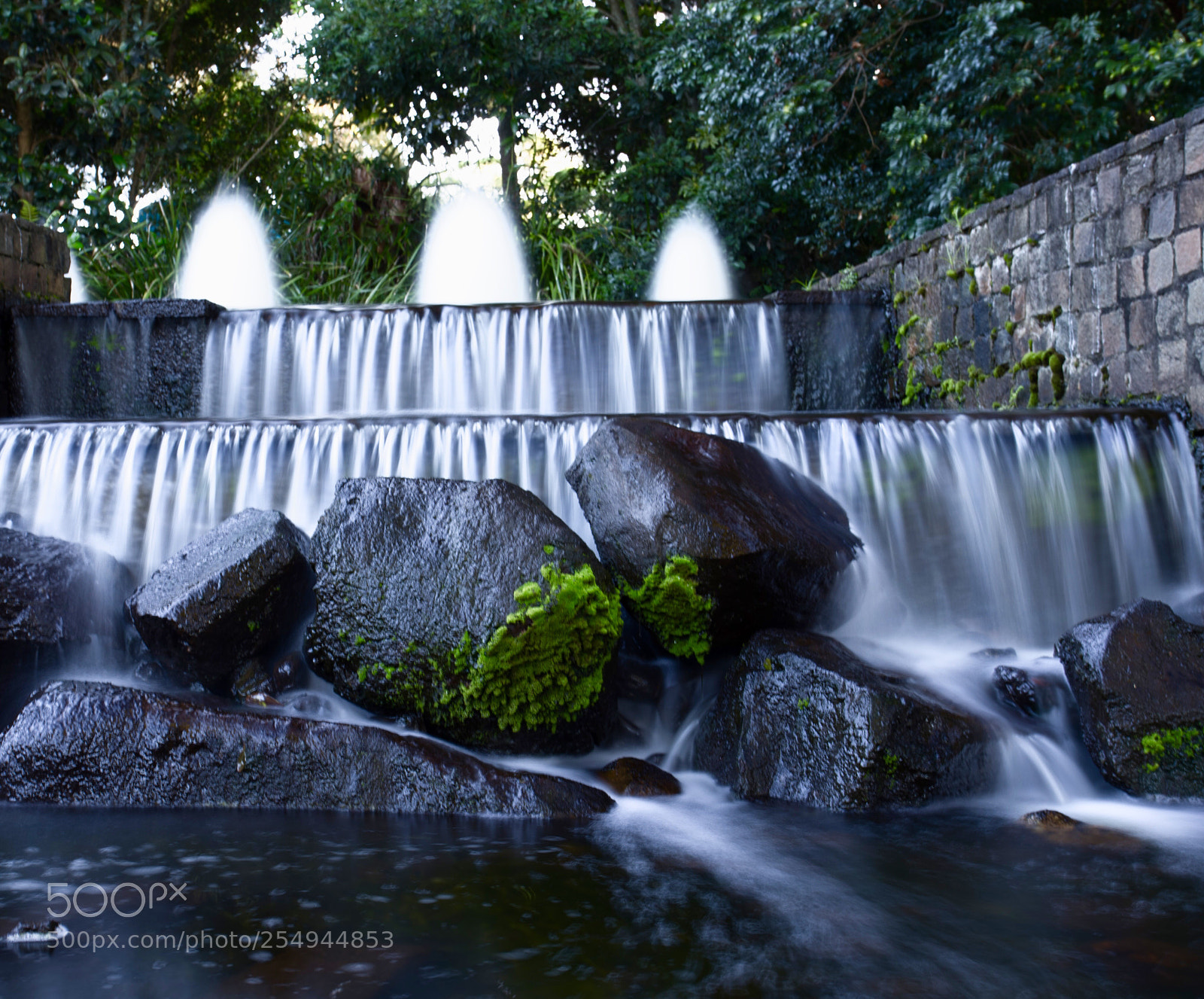 Canon EOS-1D X sample photo. Mistic morning photography