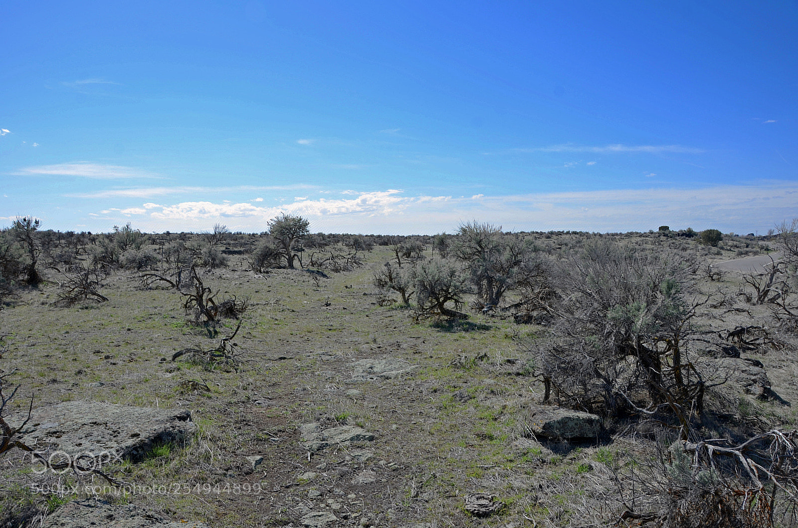 Nikon D7000 sample photo. Pioneer trail photography