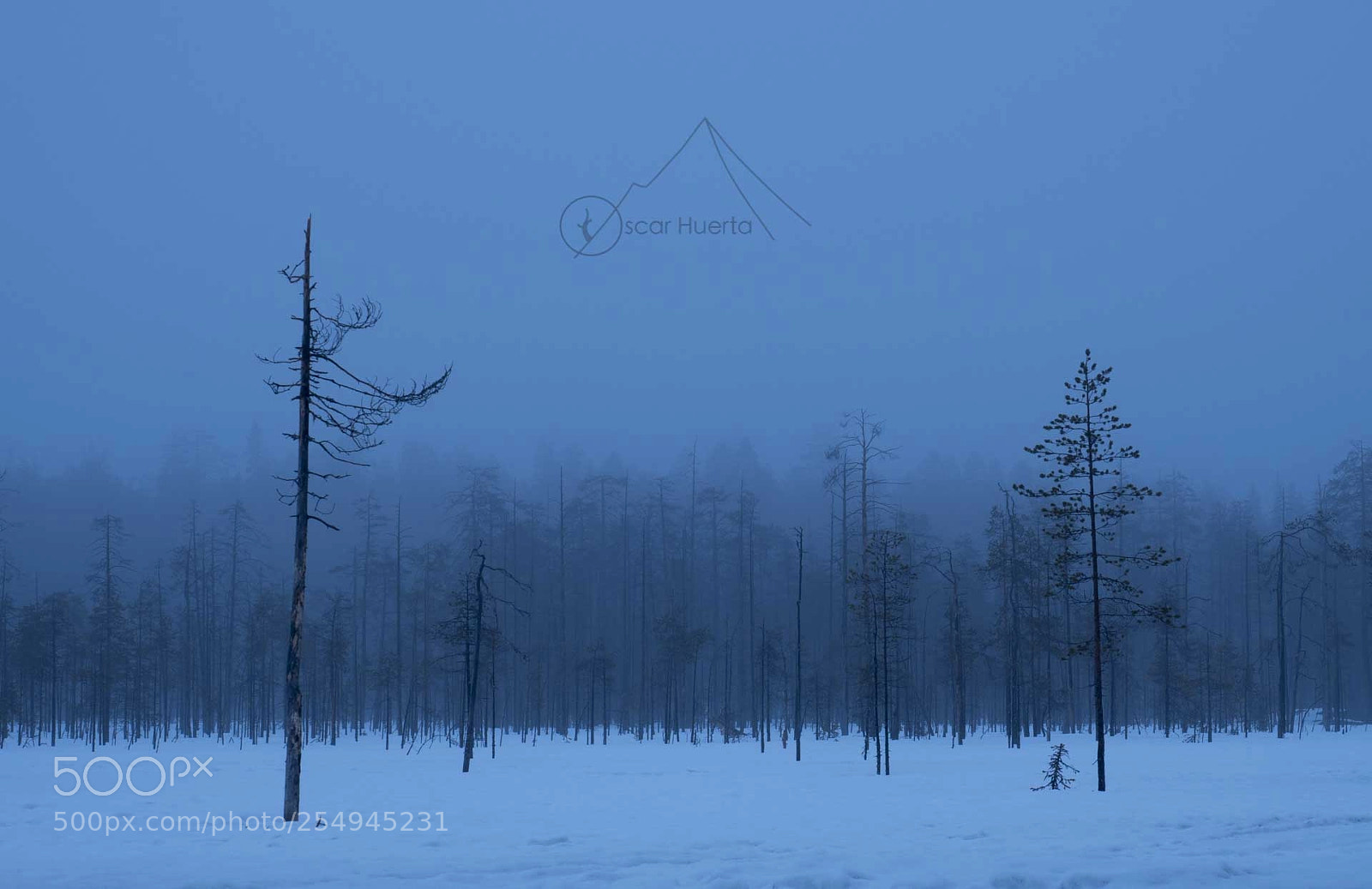 Olympus OM-D E-M1 Mark II sample photo. White silence avalanche photography
