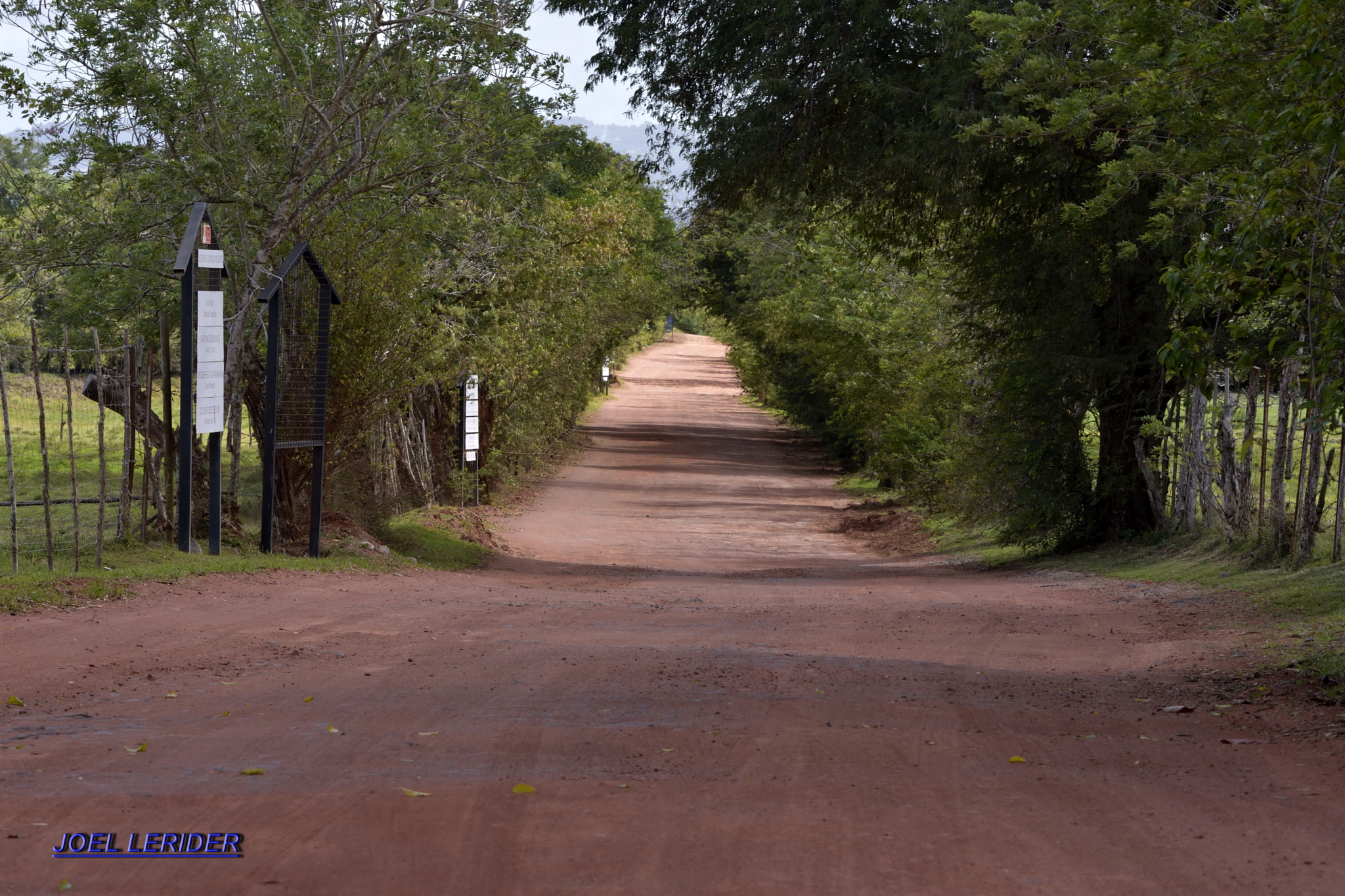 Nikon D3400 sample photo