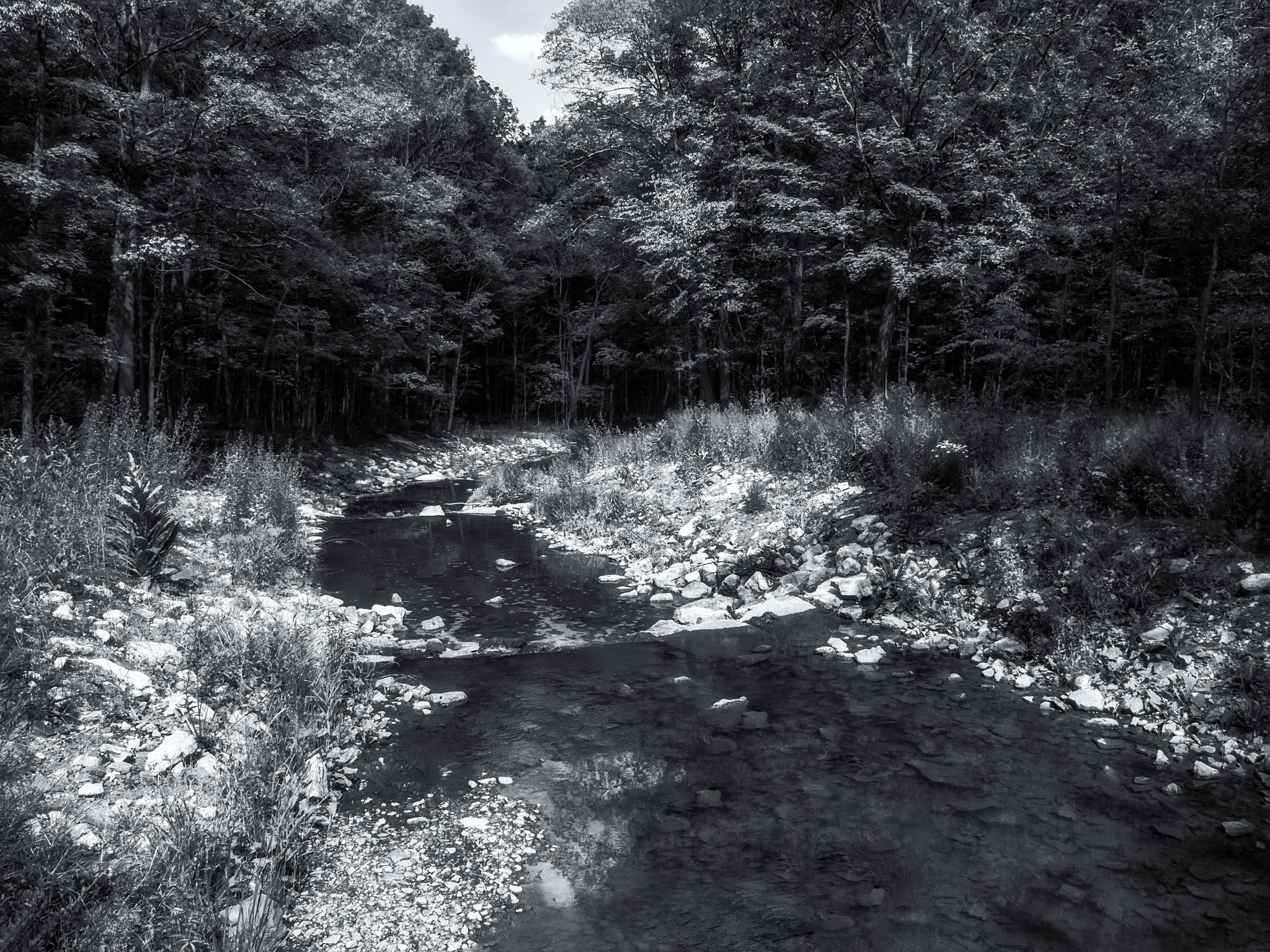 Canon PowerShot G10 sample photo. Erin mills photography