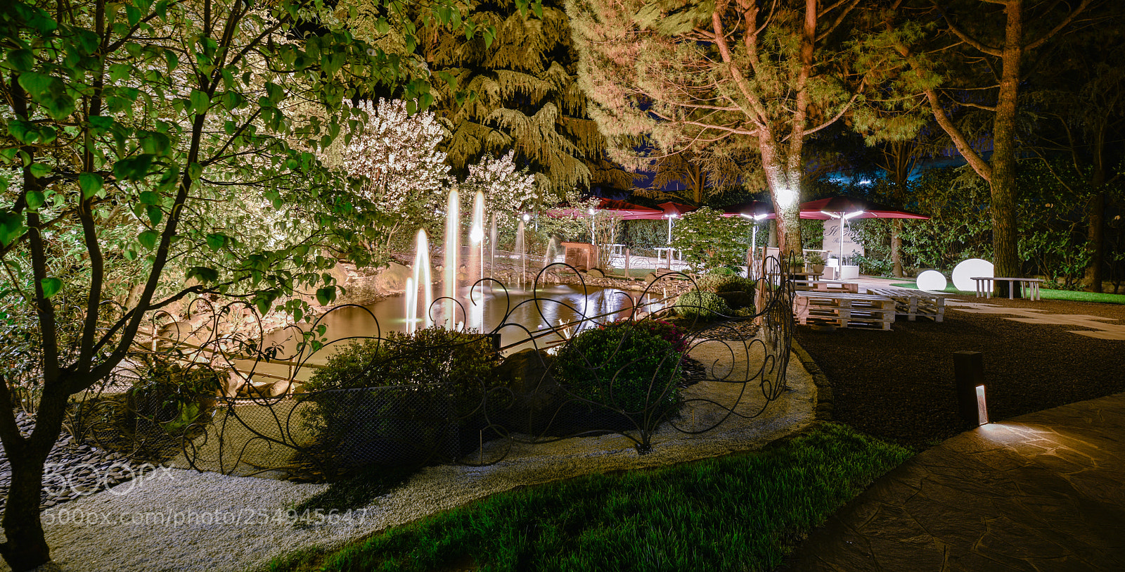 Nikon D810 sample photo. Park photography