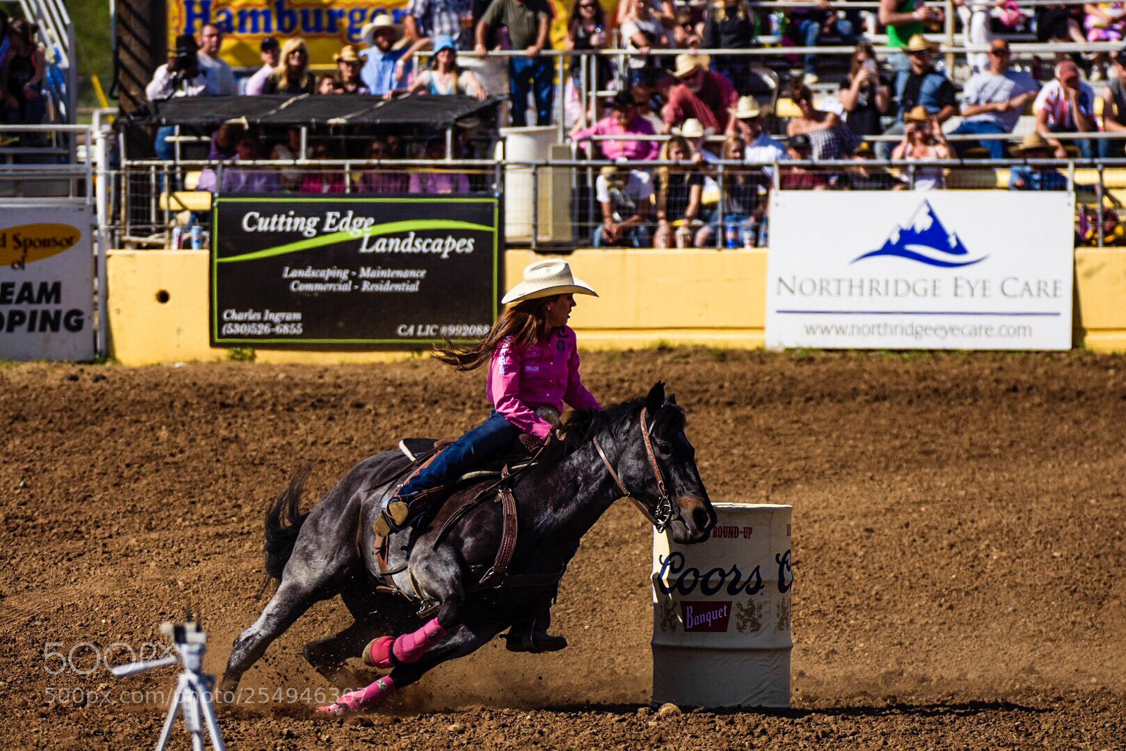 Nikon D7200 sample photo. World title holder in photography