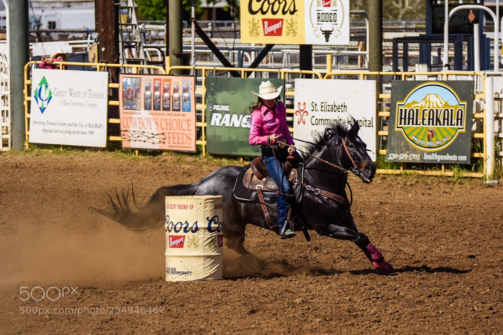 Nikon D7200 sample photo. Untitled photography