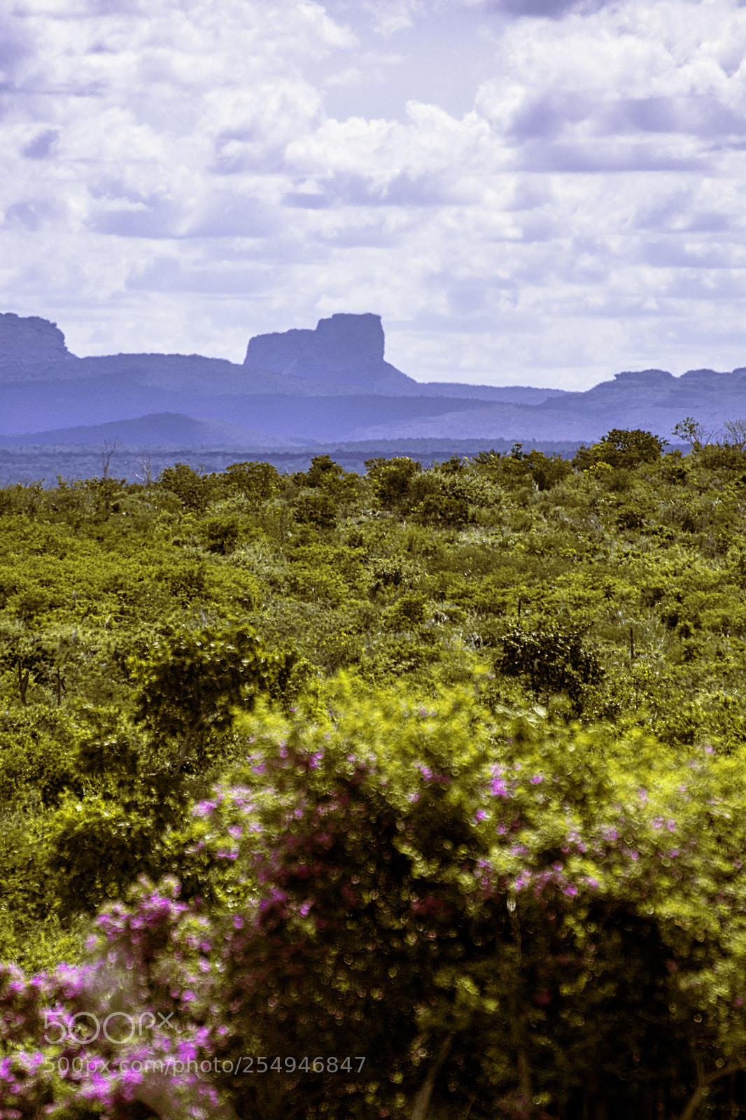 Nikon D7100 sample photo. On the way to photography
