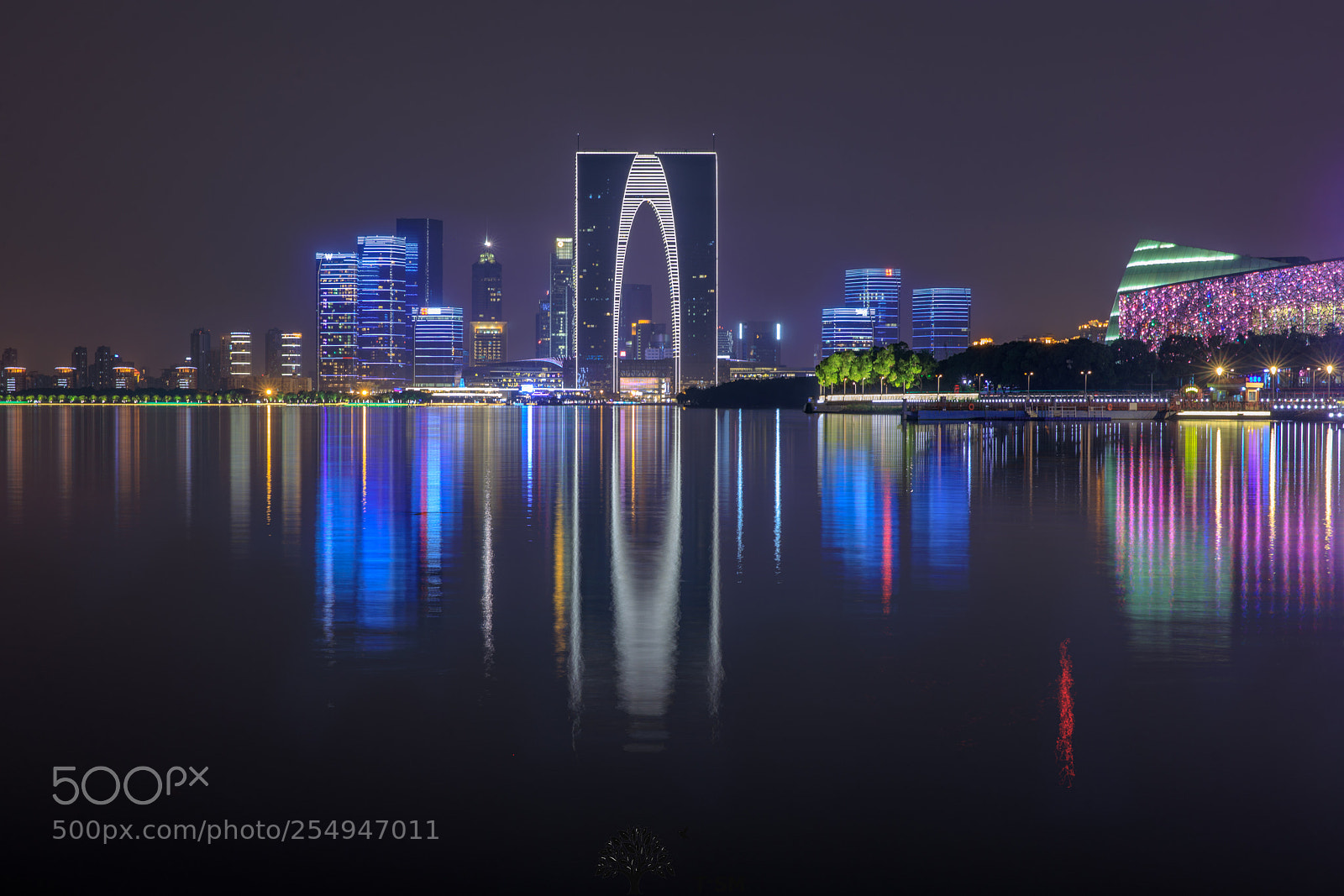 Canon EOS 5D Mark IV sample photo. 金鸡湖夜景 photography
