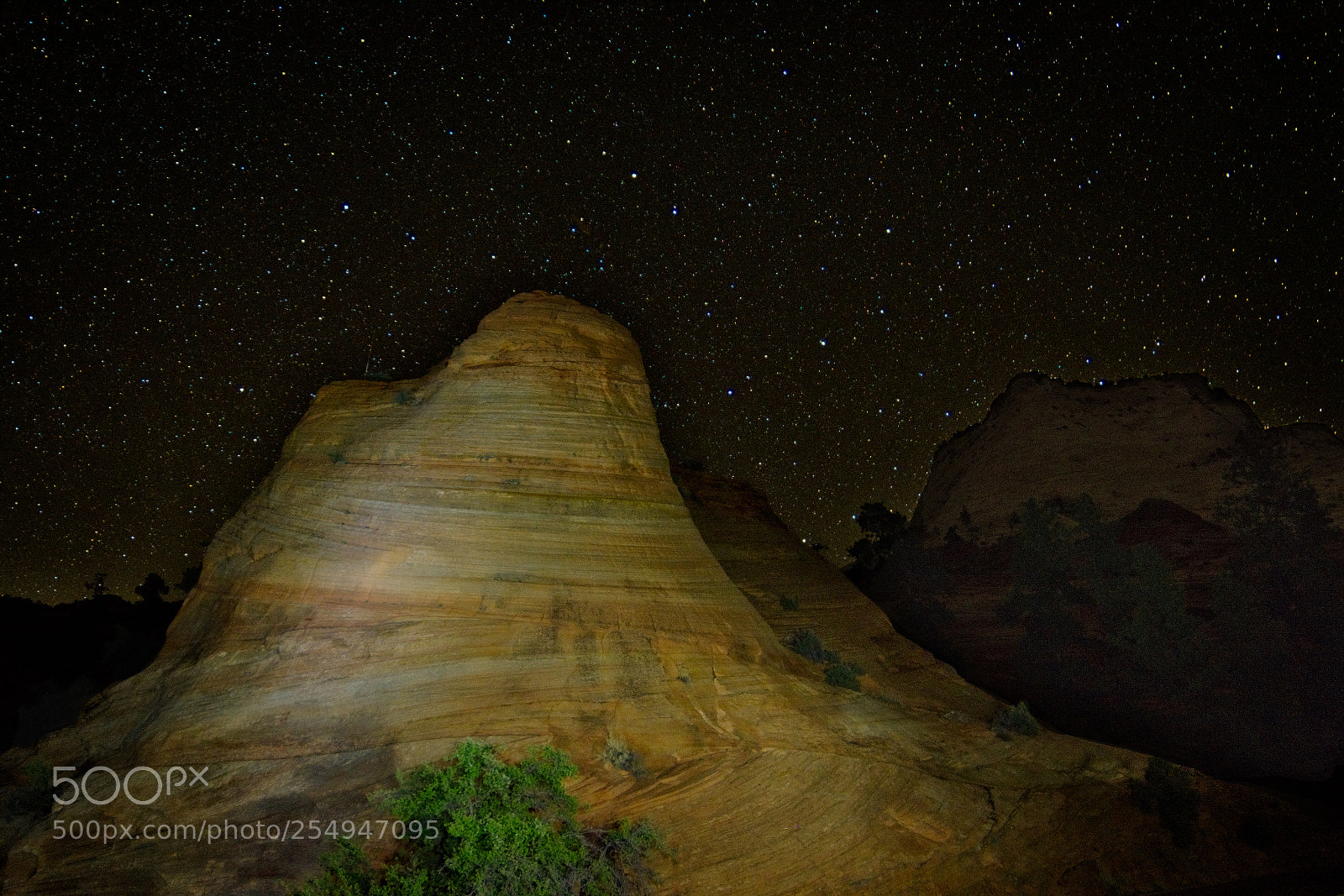 Nikon D7200 sample photo. Zion starscape photography