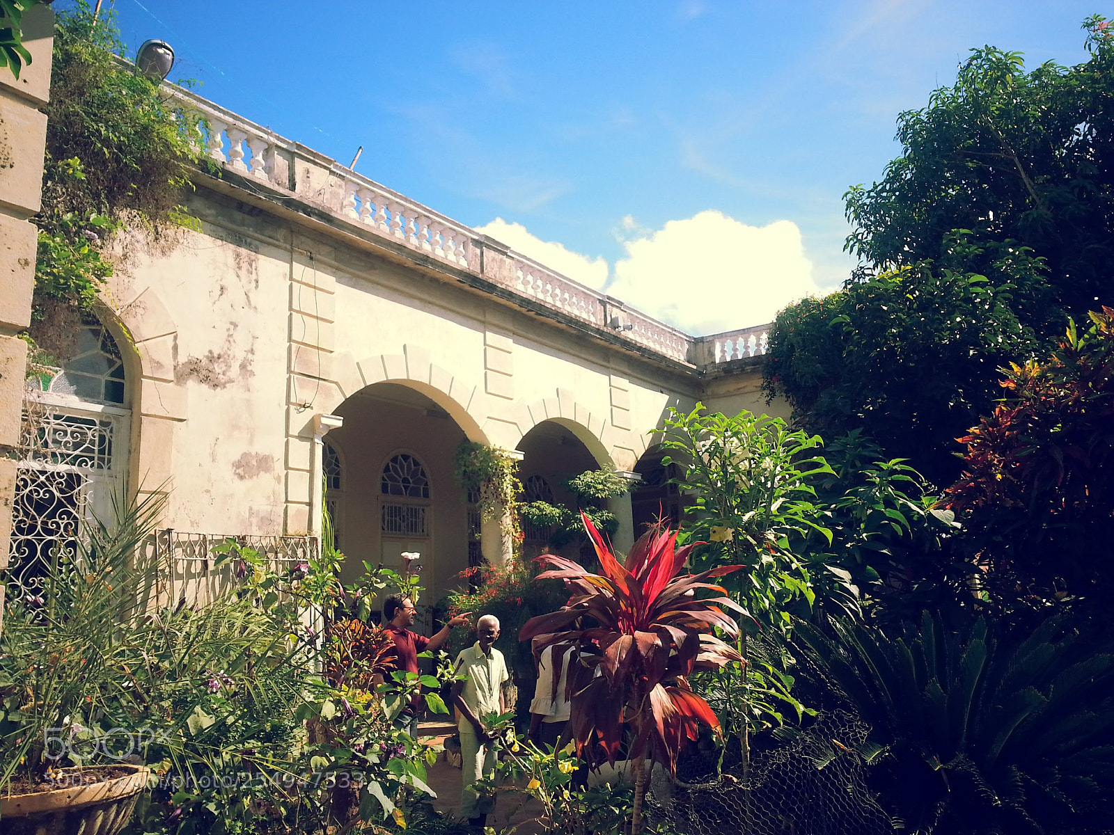 Samsung Galaxy S3 sample photo. Garden courtside photography