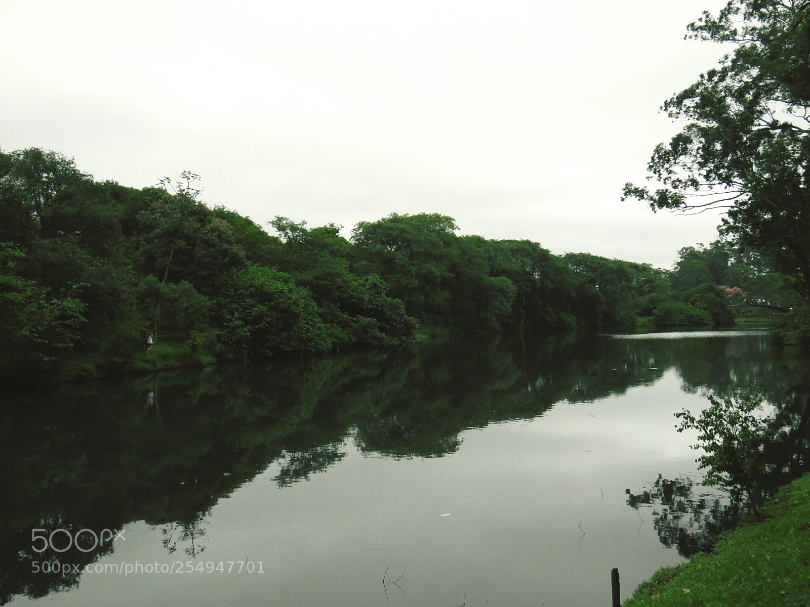 Canon PowerShot SX50 HS sample photo. Lake photography