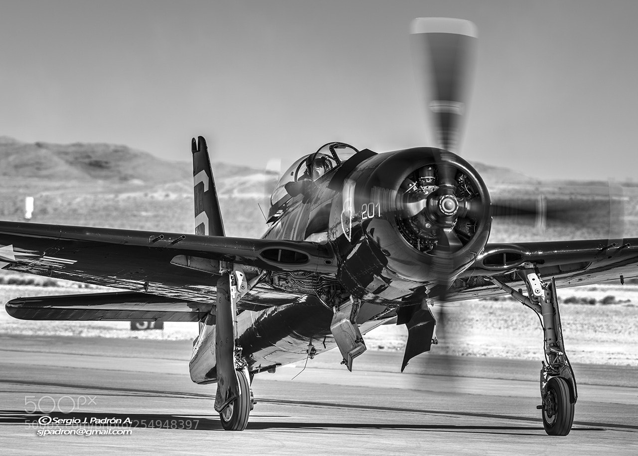 Nikon D800 sample photo. Bearcat g-rumm photography