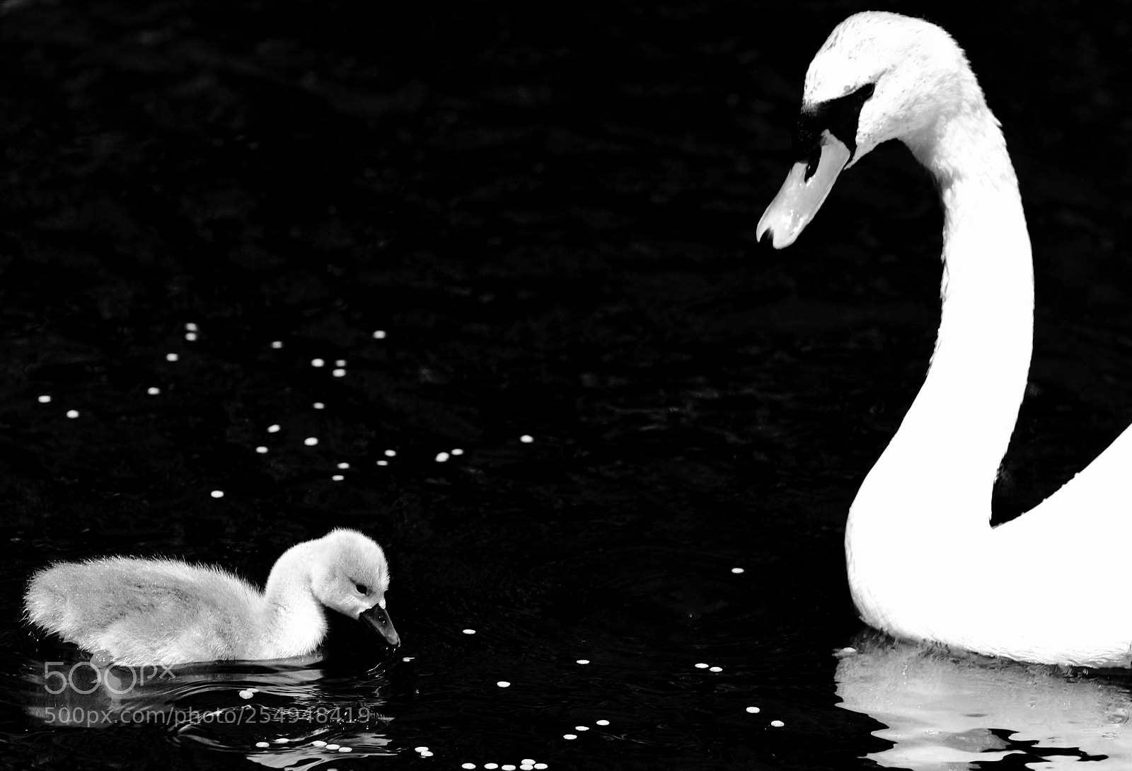 Canon EOS 7D Mark II sample photo. Mother  love photography