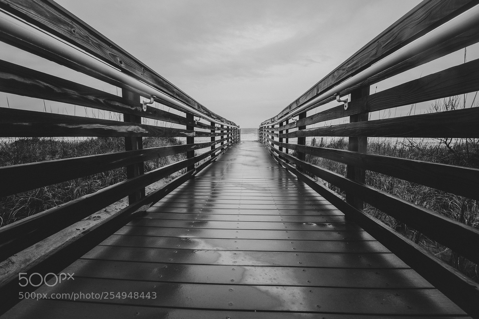 Canon EOS 80D sample photo. Rainy day at the photography