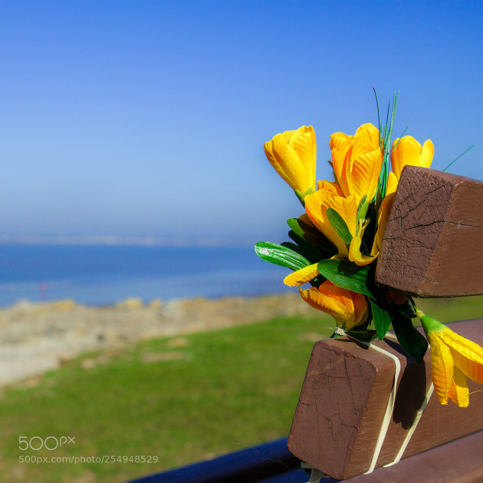 Canon EOS 750D (EOS Rebel T6i / EOS Kiss X8i) sample photo. Lmk imagery photography