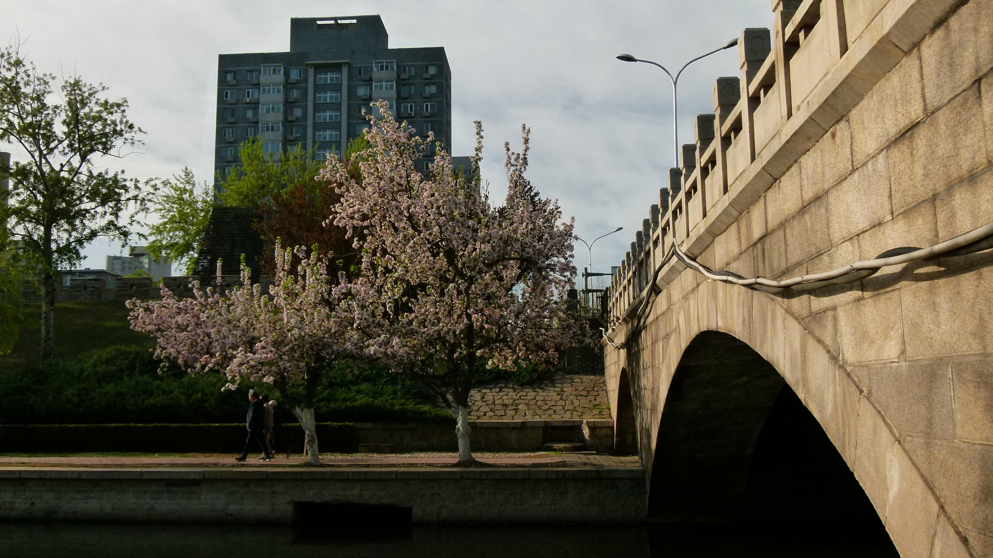 Leica V-Lux 2 sample photo