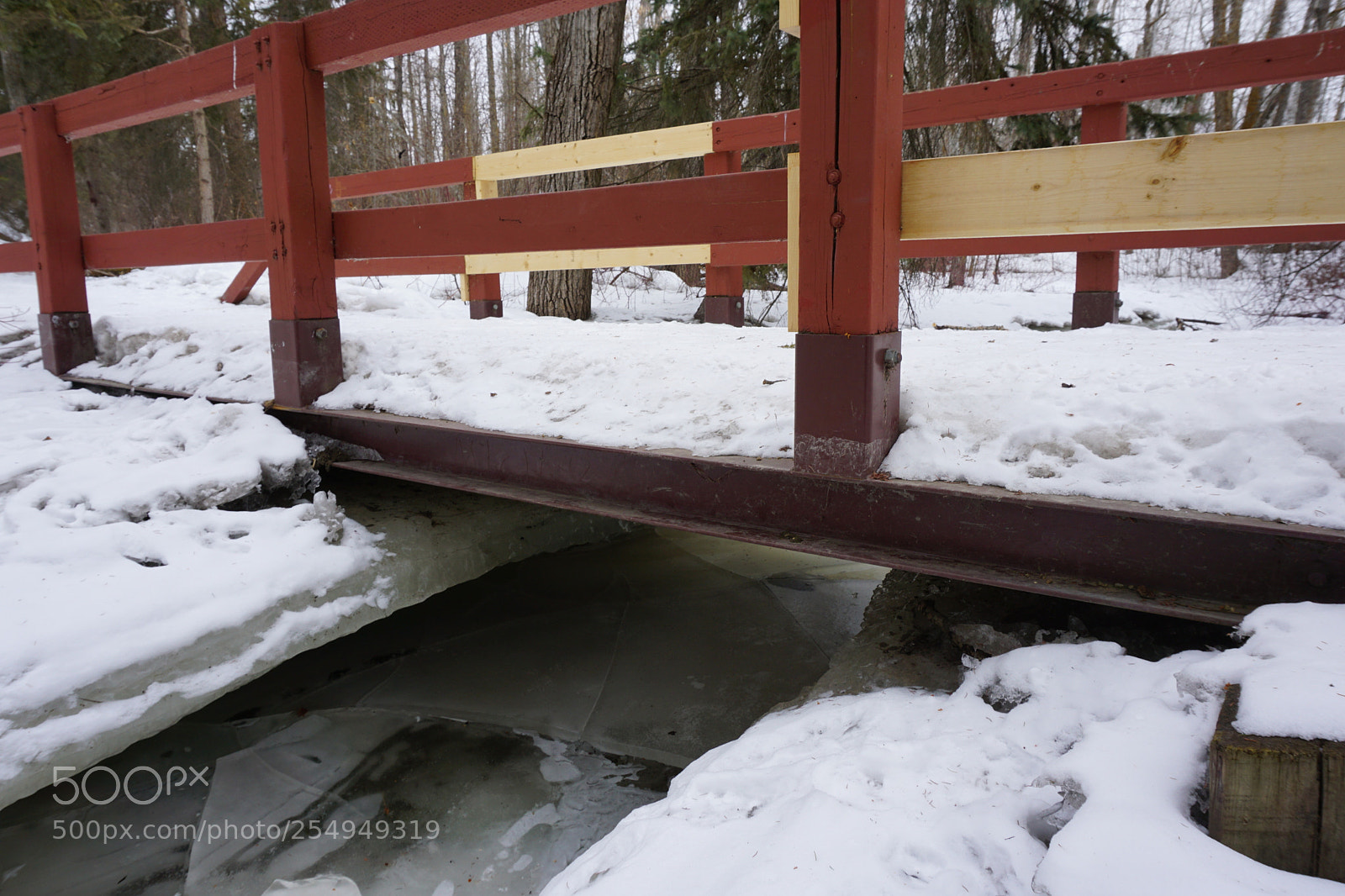 Sony a6000 sample photo. Spring is coming photography