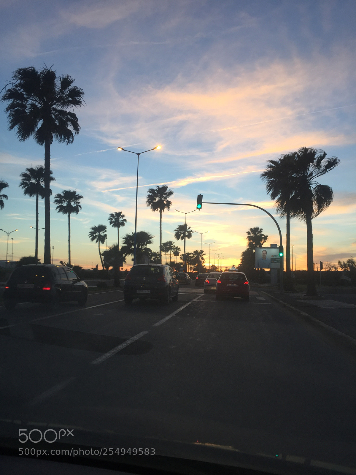 Apple iPhone 6 sample photo. Untitled photography