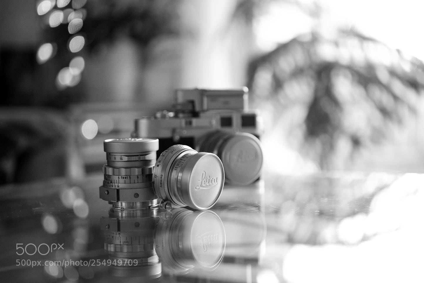 Nikon D600 sample photo. Leica photography