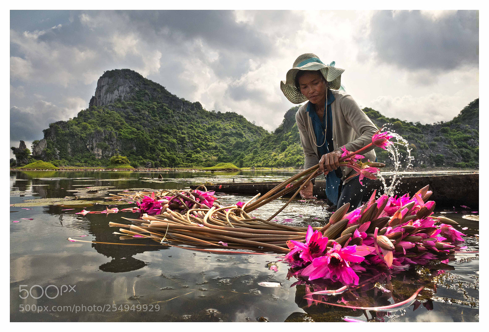 Panasonic Lumix DMC-G85 (Lumix DMC-G80) sample photo. The kampot's lilies pond photography