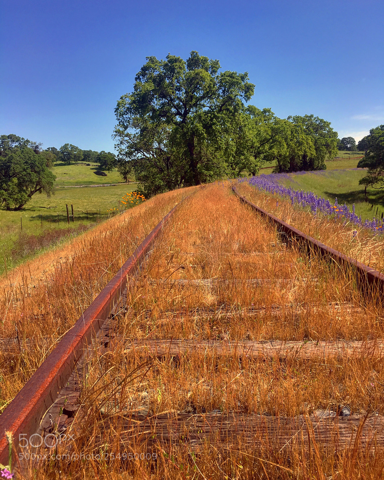 Apple iPhone 6s sample photo. The old route photography