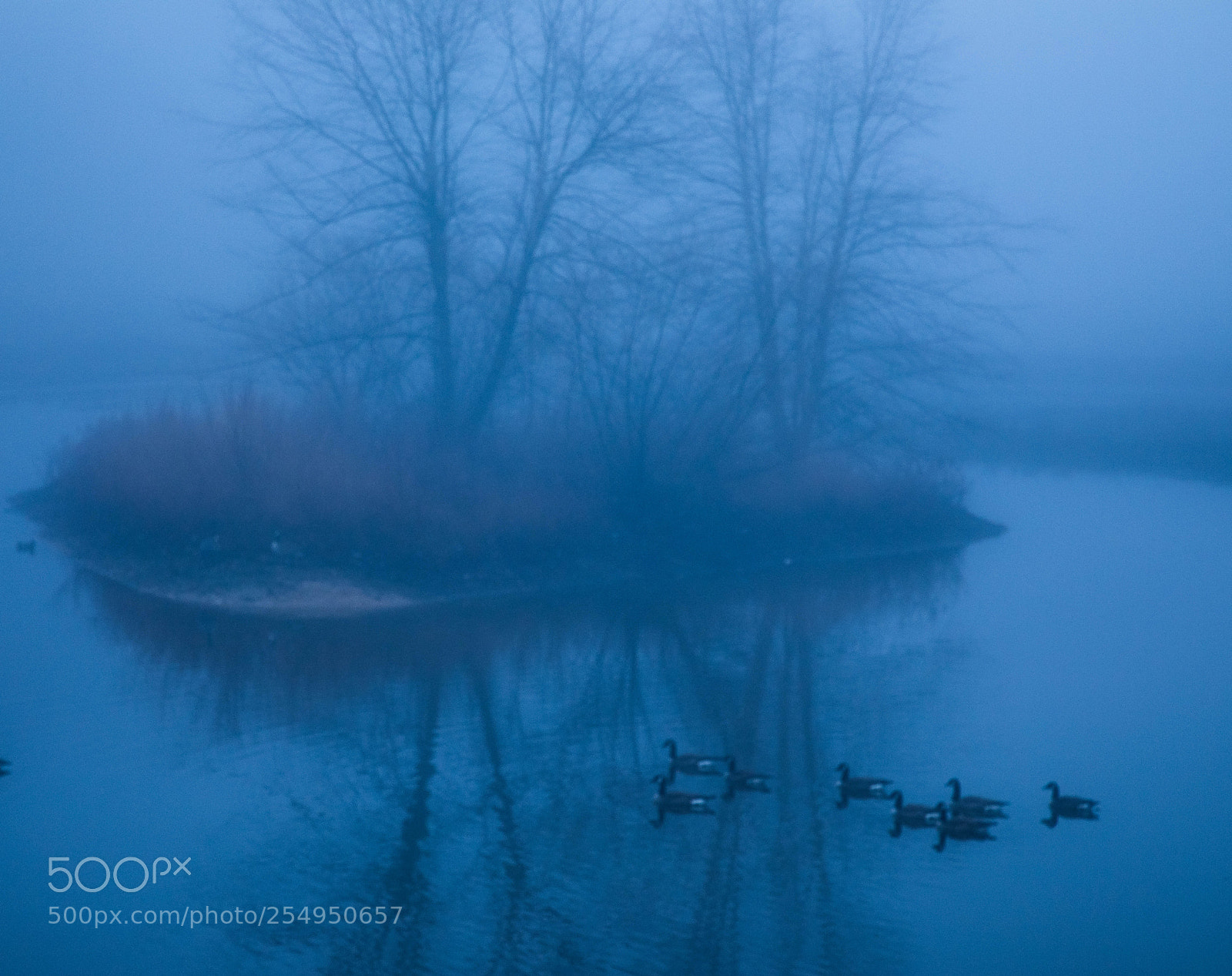 Canon EOS 5D Mark IV sample photo. Mood in blue photography