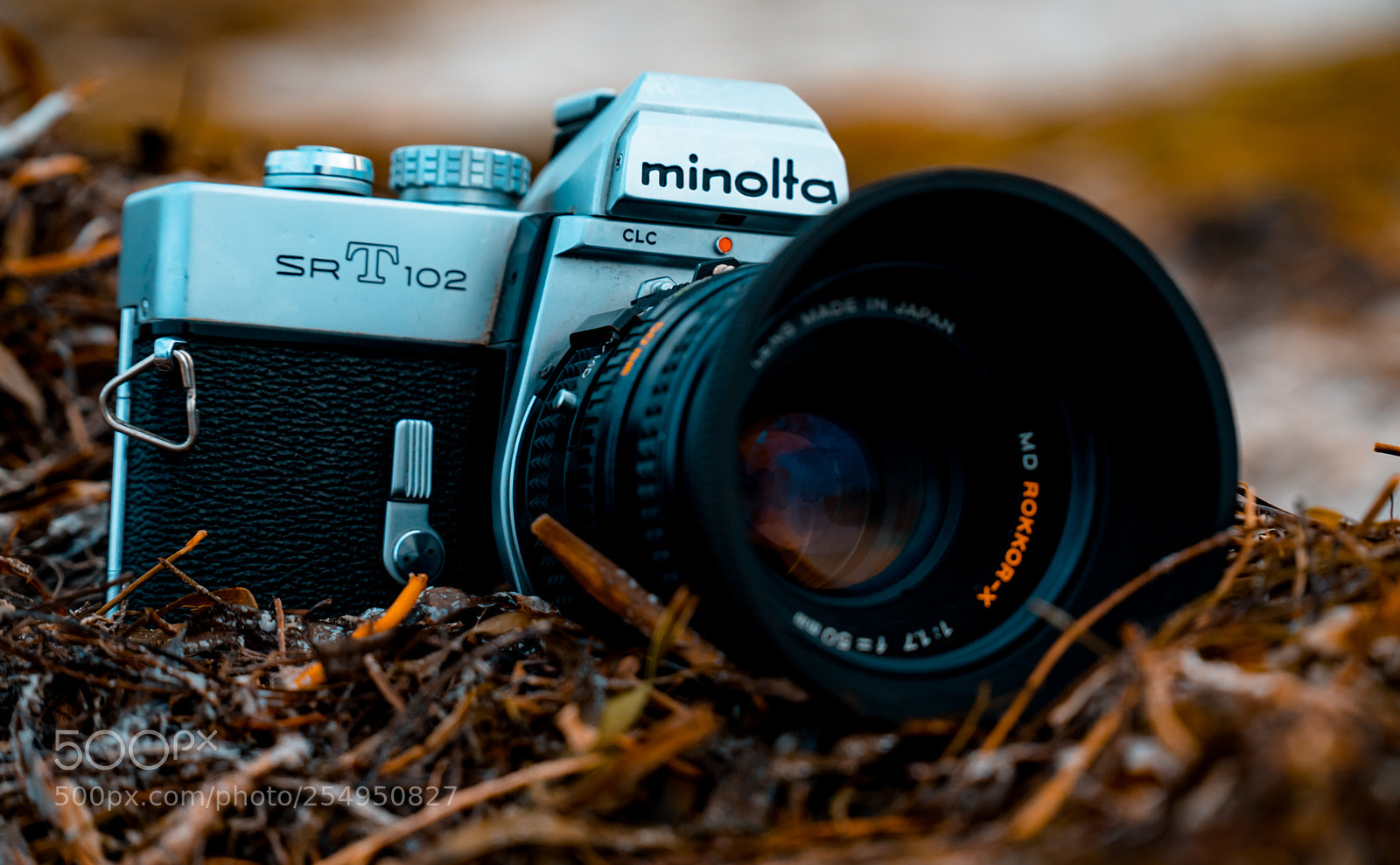 Sony a6500 sample photo. Minolta srt102 photography