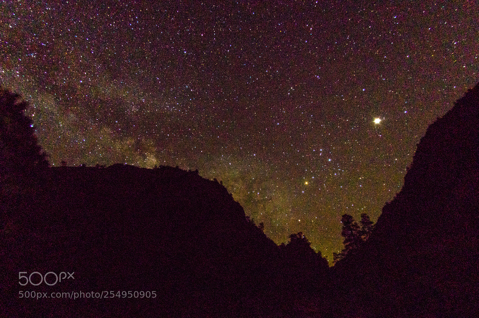 Pentax K-3 II sample photo. Zion national park milky photography