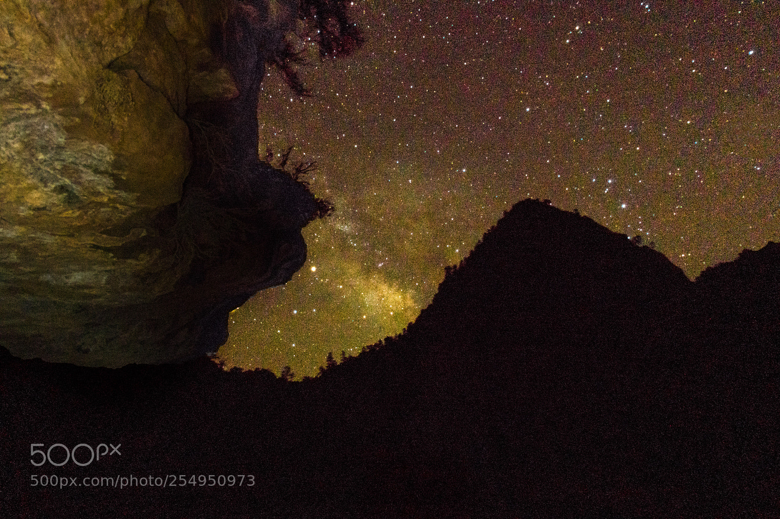 Pentax K-3 II sample photo. Zion national park milky photography