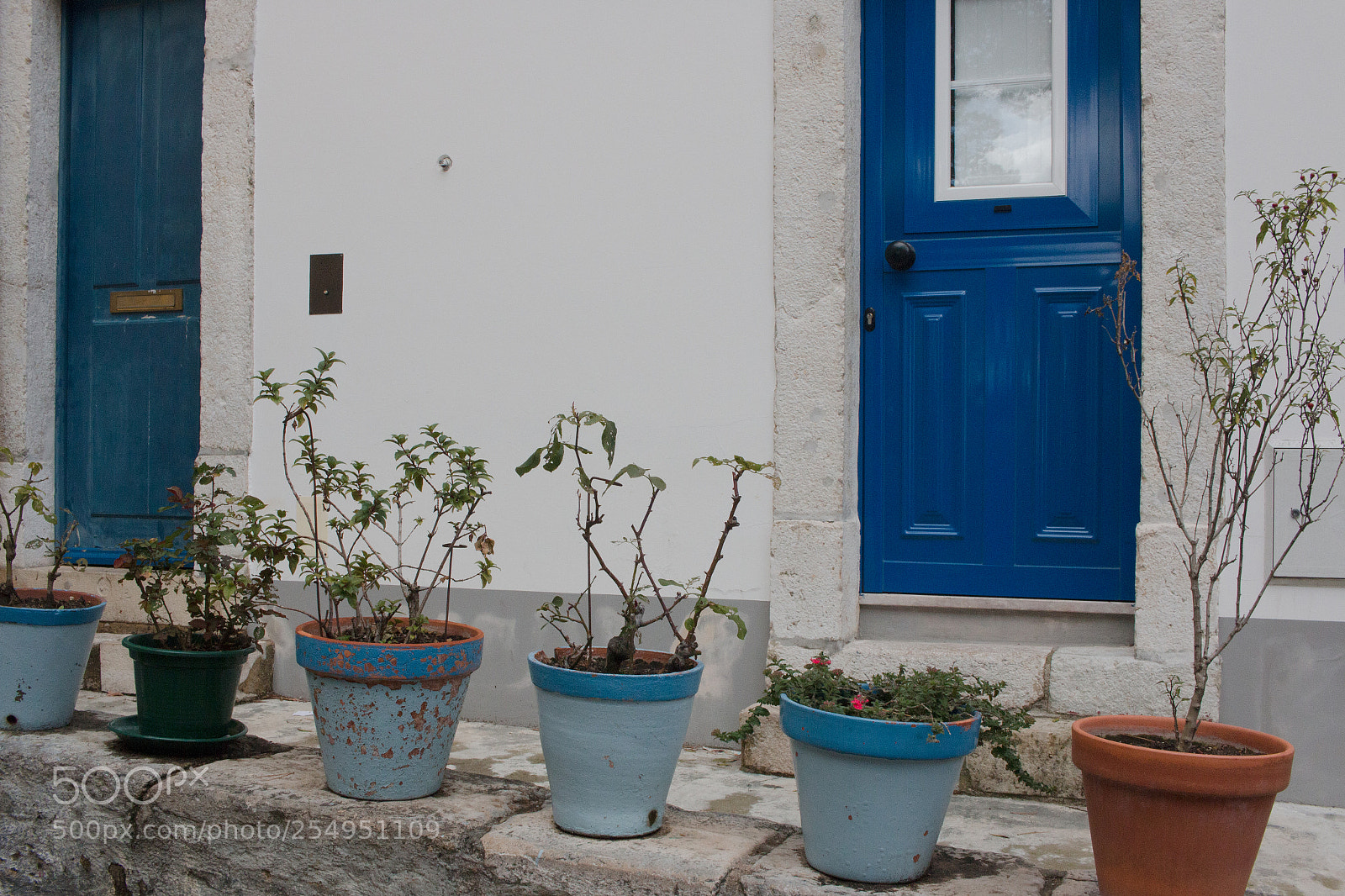 Canon EOS 70D sample photo. Untiltled photography