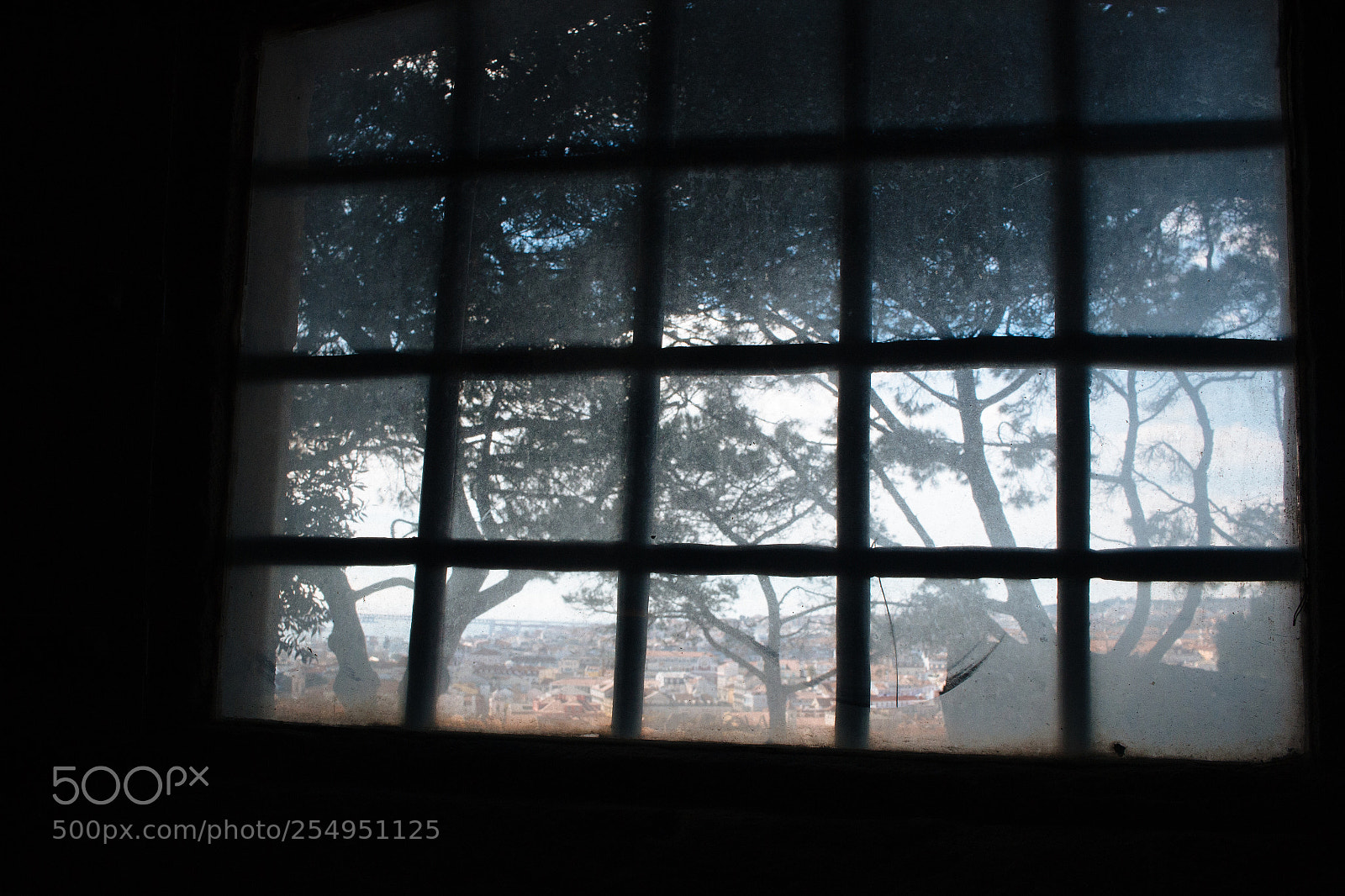 Canon EOS 70D sample photo. Untiltled photography
