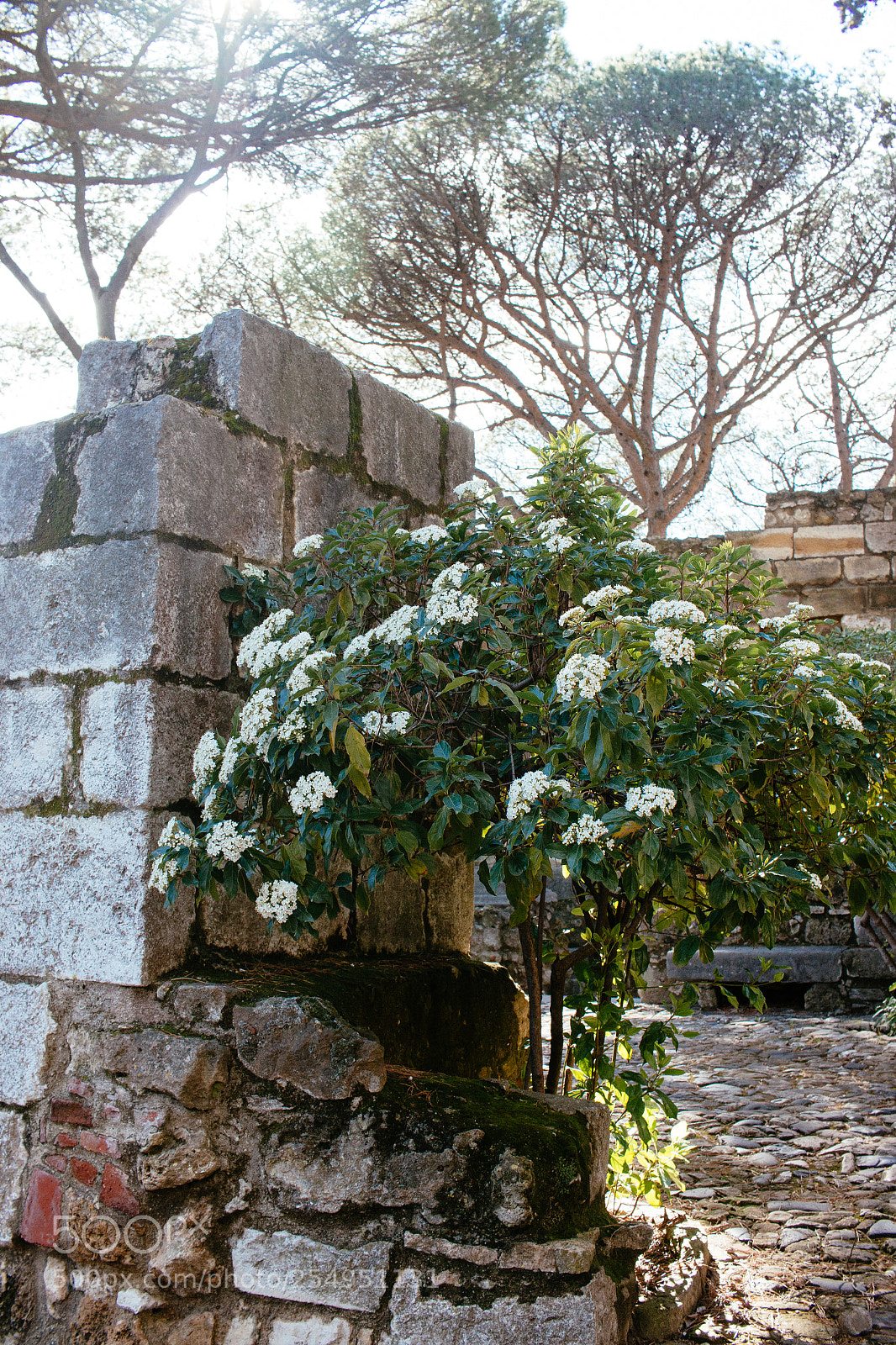 Canon EOS 70D sample photo. Untiltled photography
