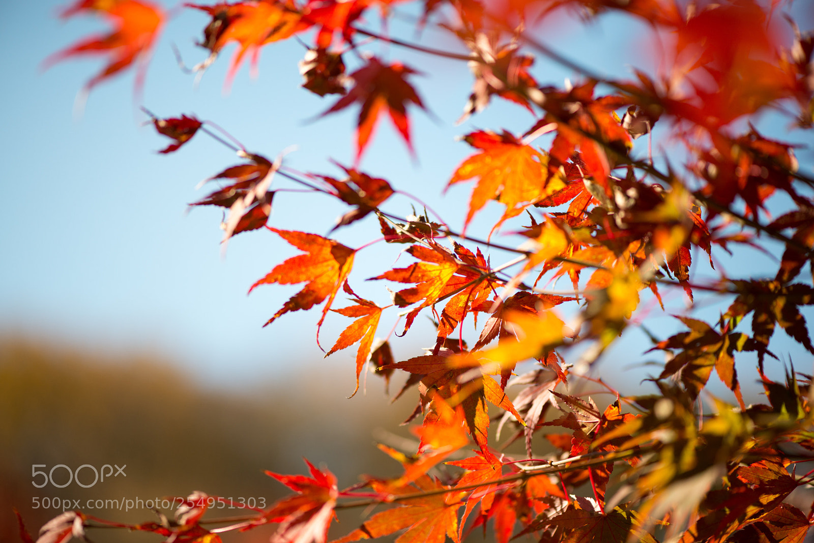Nikon D600 sample photo. Untitled photography