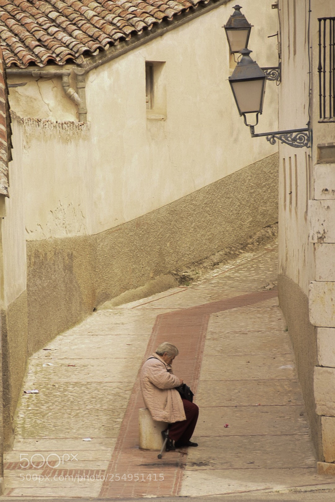Nikon D5300 sample photo. Descanso en el camino photography