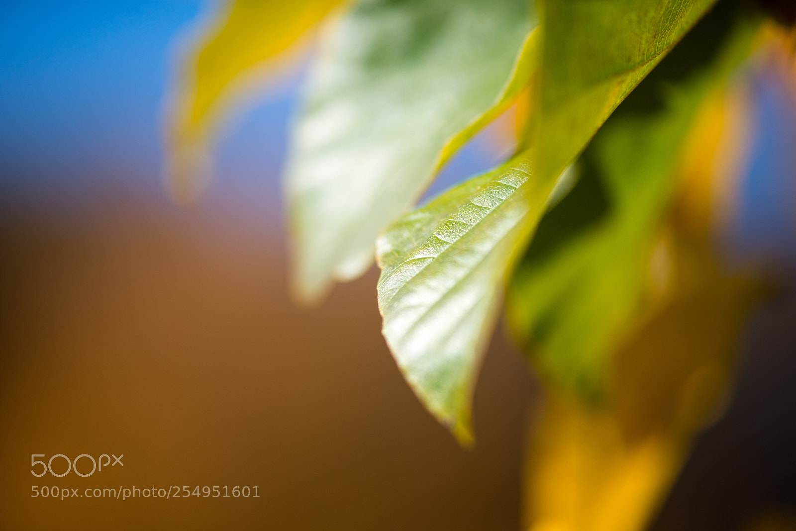 Nikon D600 sample photo. Untitled photography