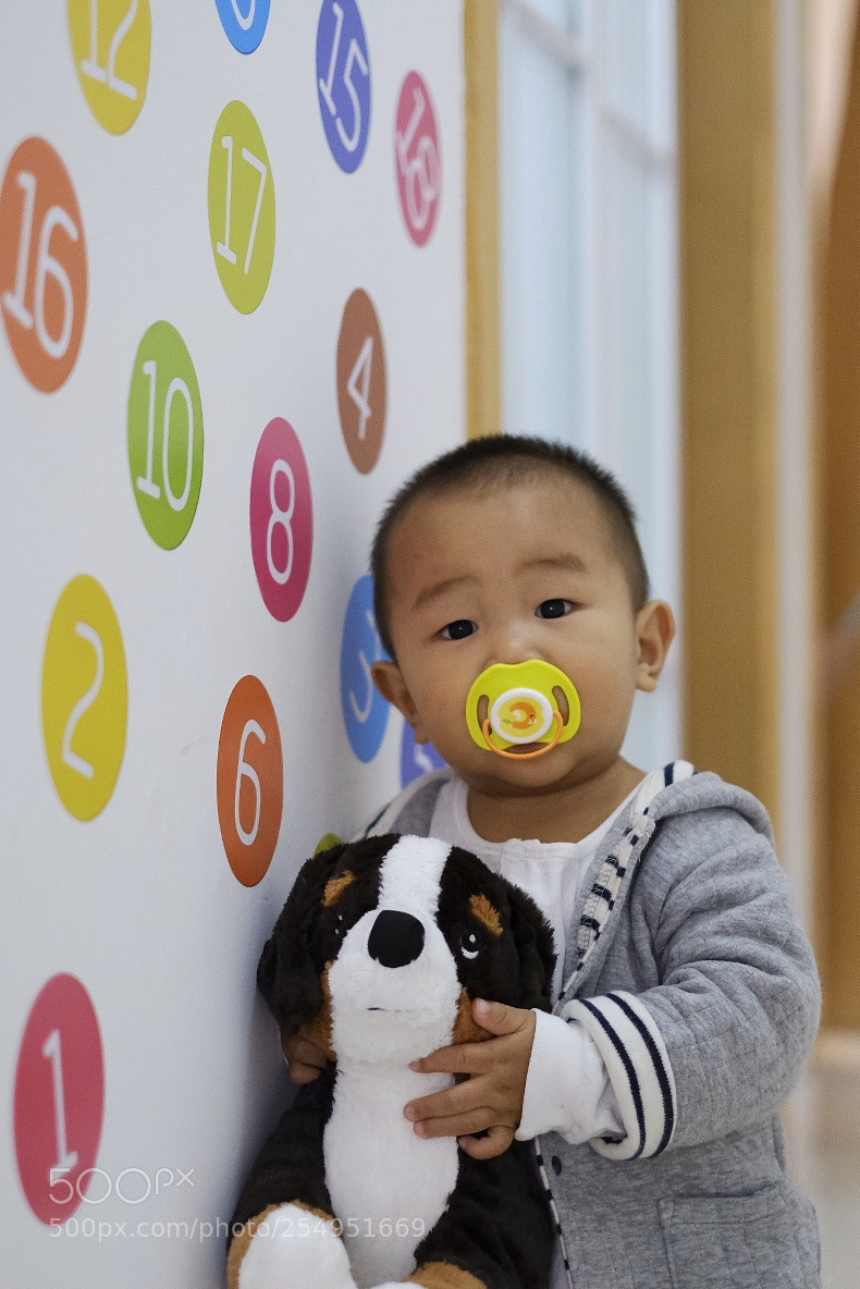 Fujifilm X-T20 sample photo. Untitled photography