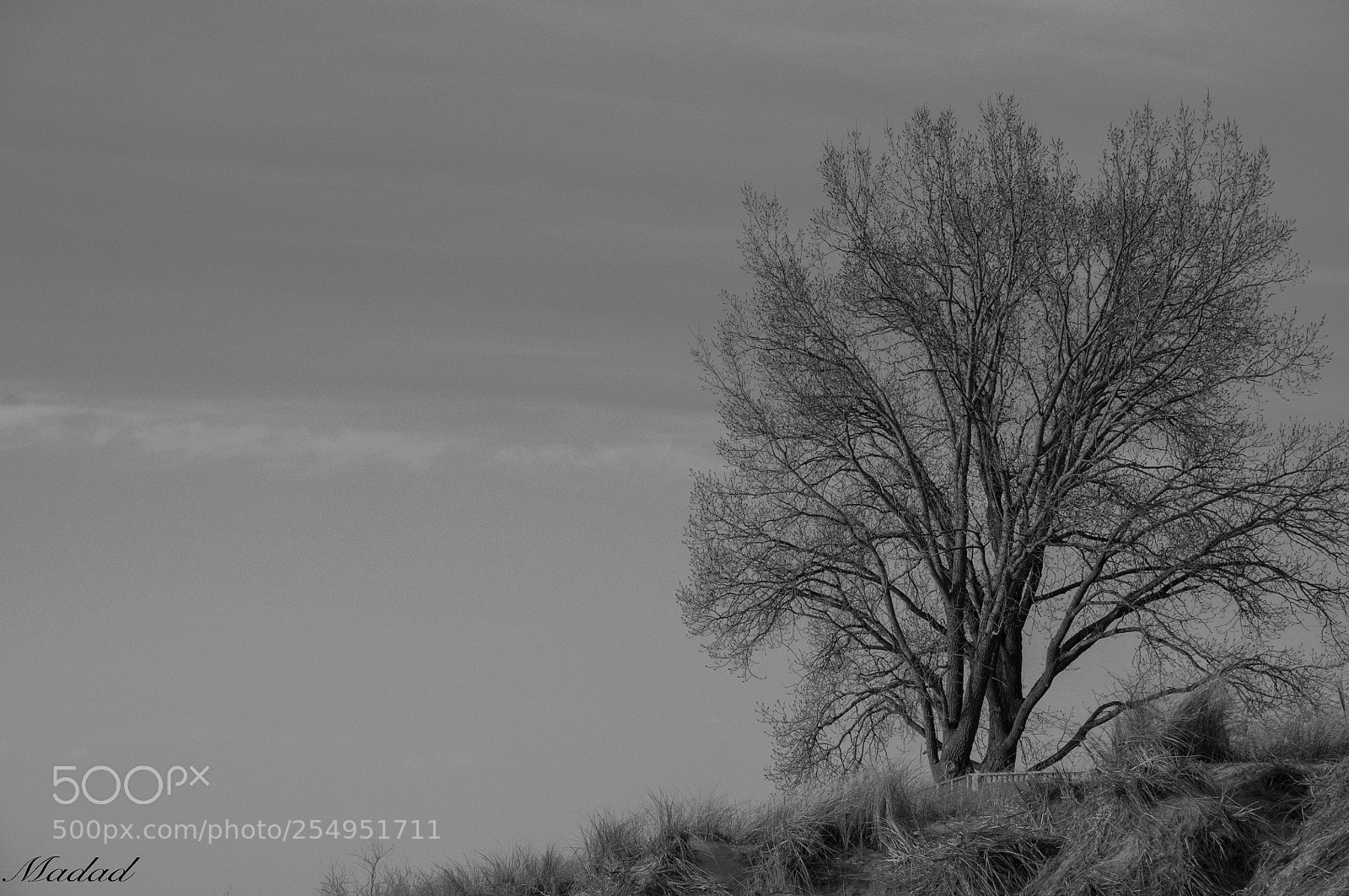 Nikon D90 sample photo. Untitled photography