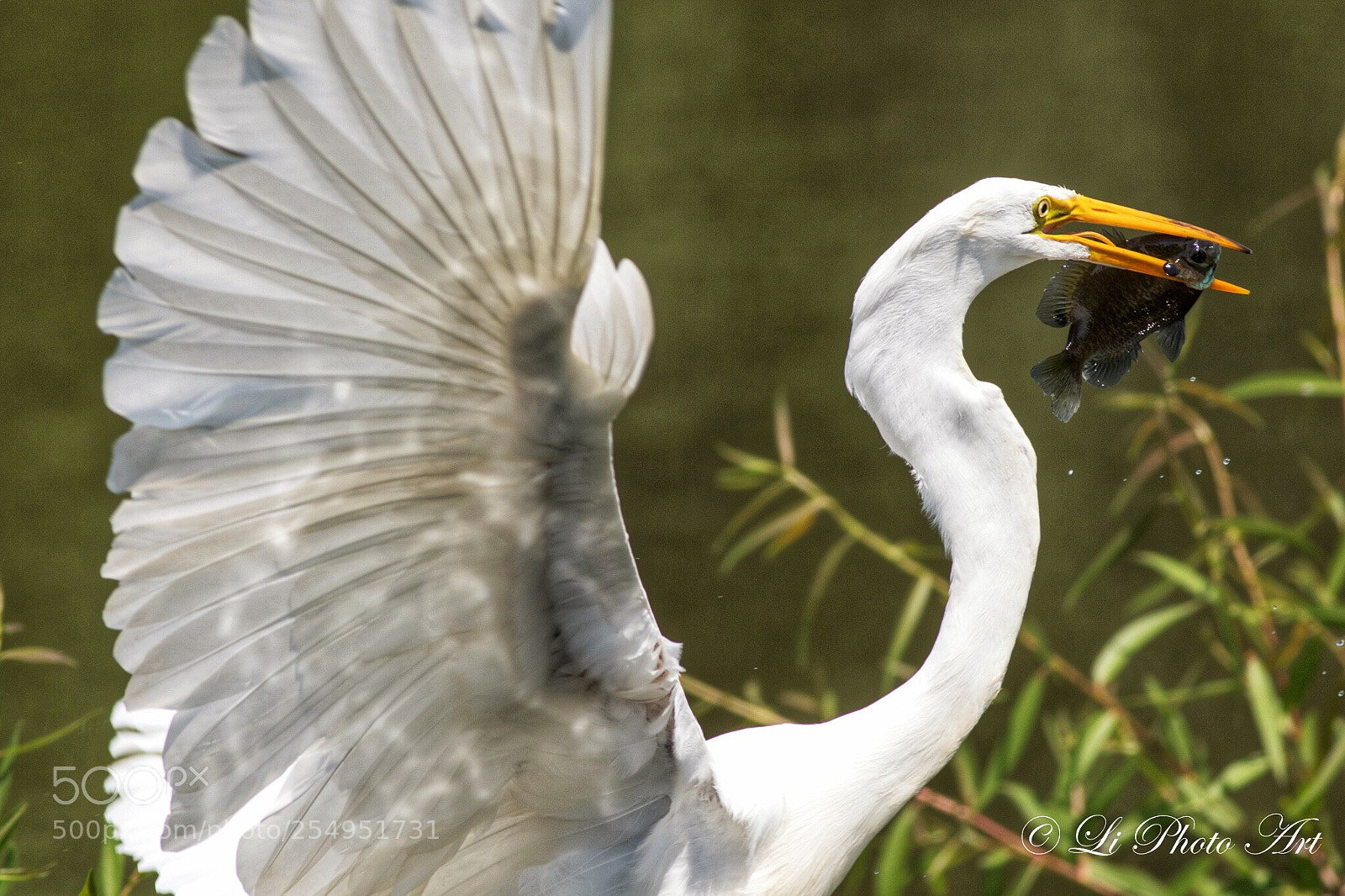 Canon EOS 7D Mark II sample photo. My snack time photography
