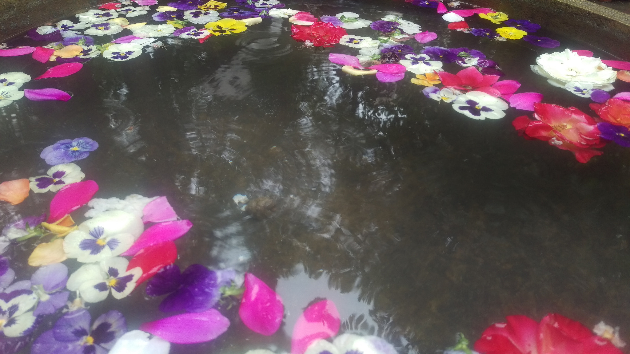 HTC ONE M9 sample photo. When it rains... photography
