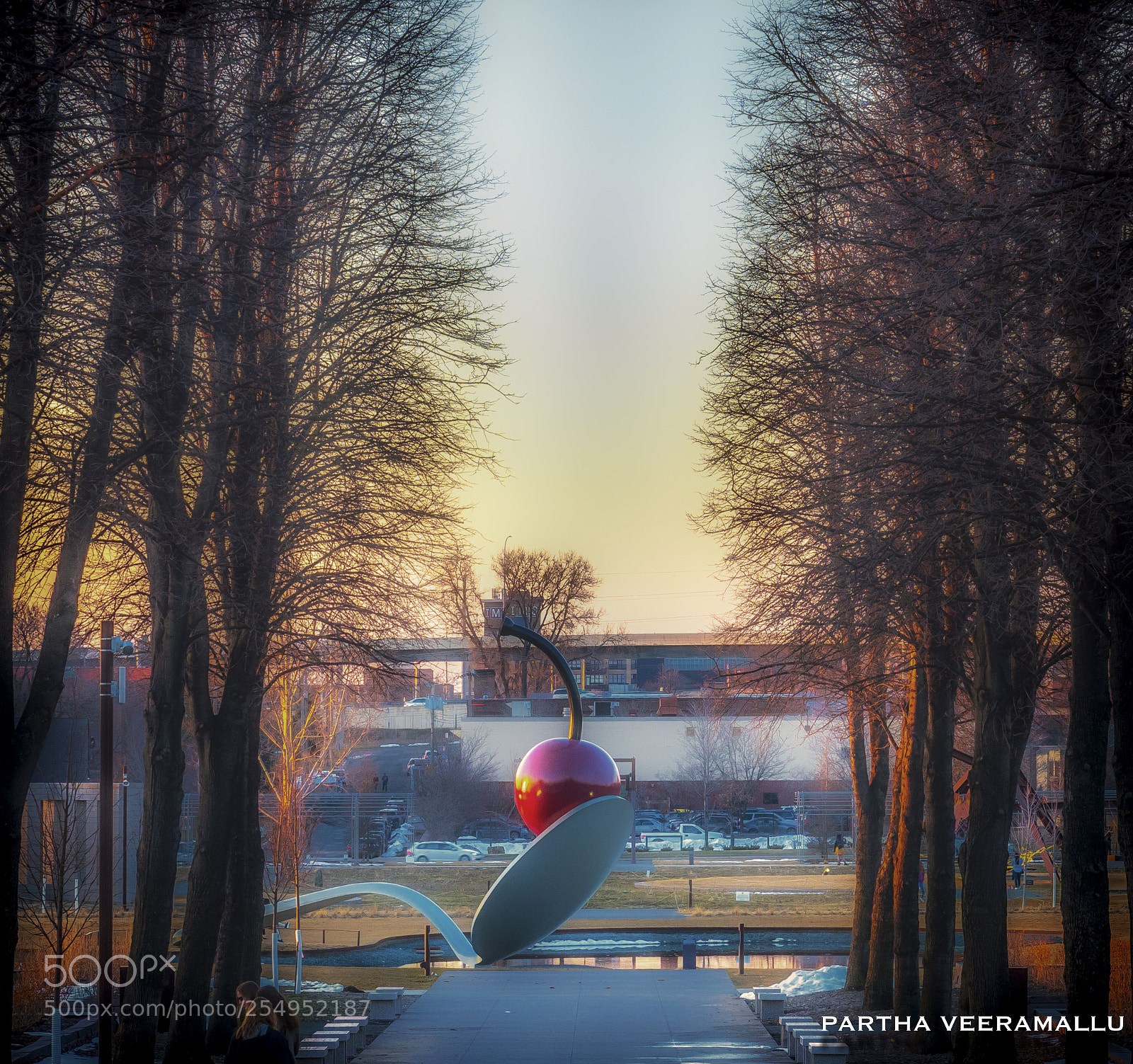 Nikon D810 sample photo. Spoon and cherry photography
